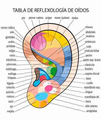 Matrona integrativa - 2