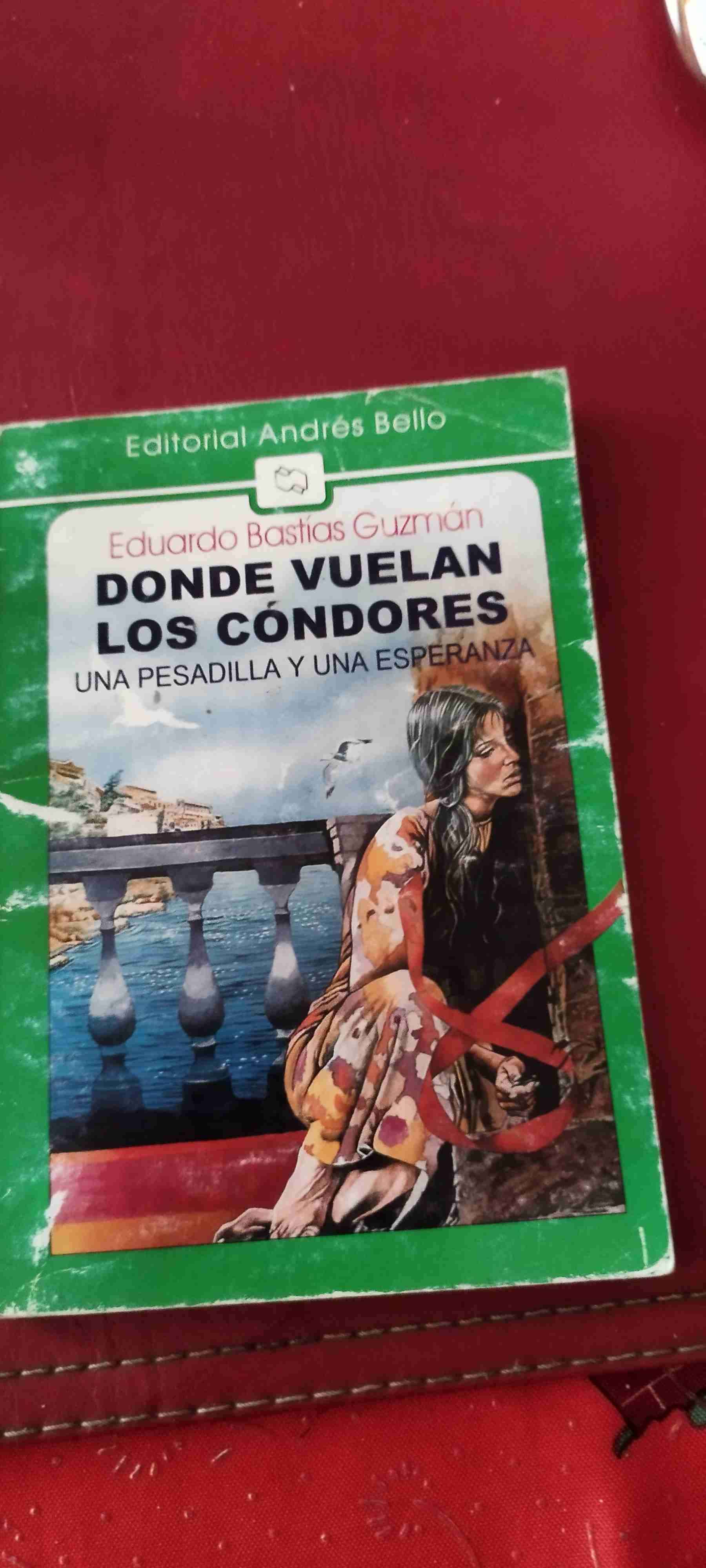 Libro 'Donde Vuelan los Cóndores' - miniatura 2