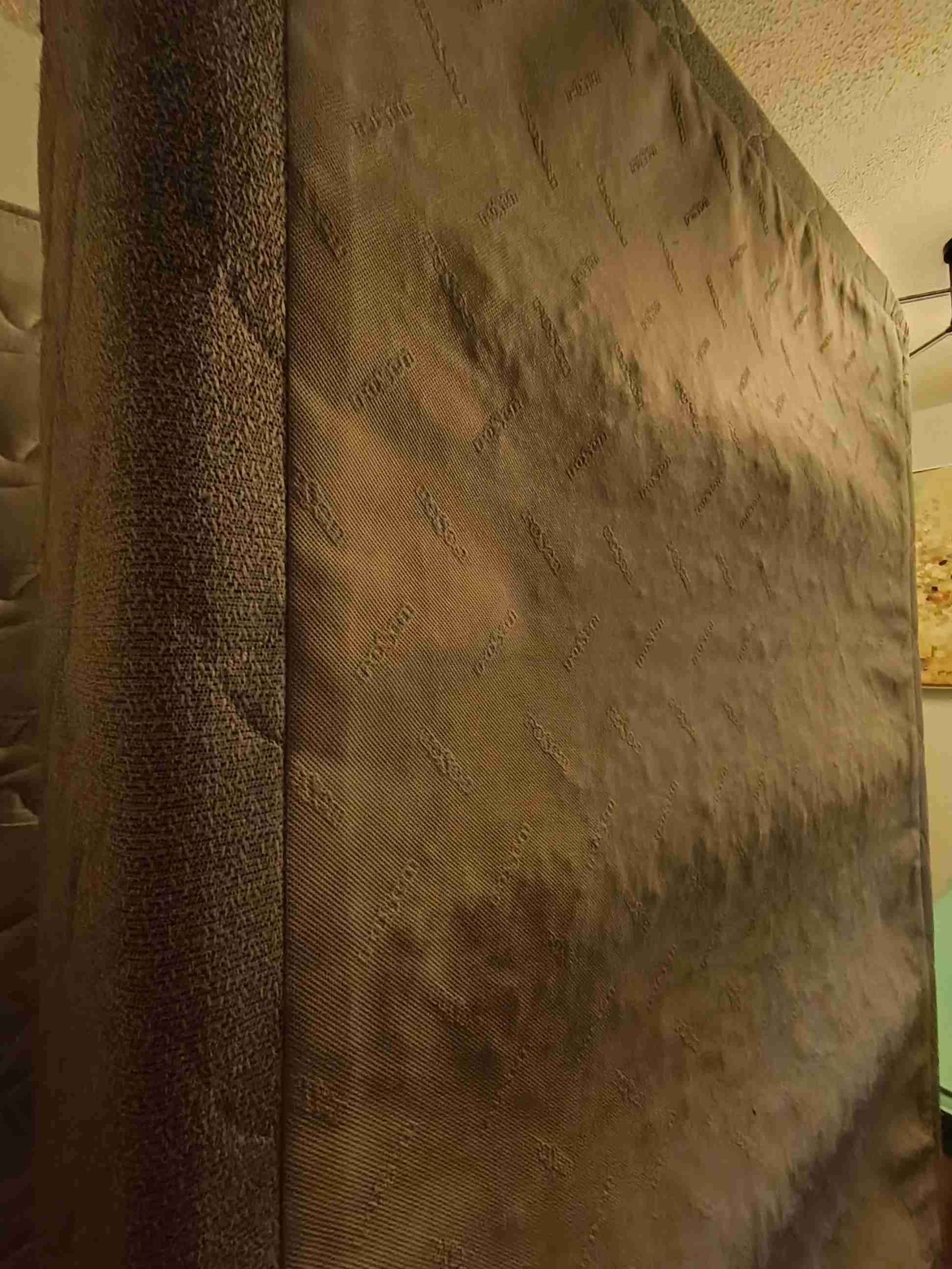 Box Spring 1 plaza 1/2 Rosen - miniatura 4