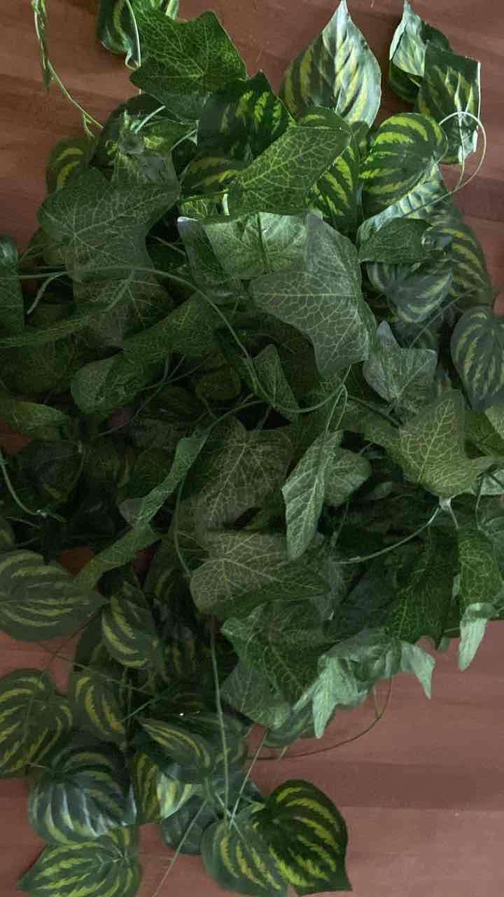 hojas decoración 12metros