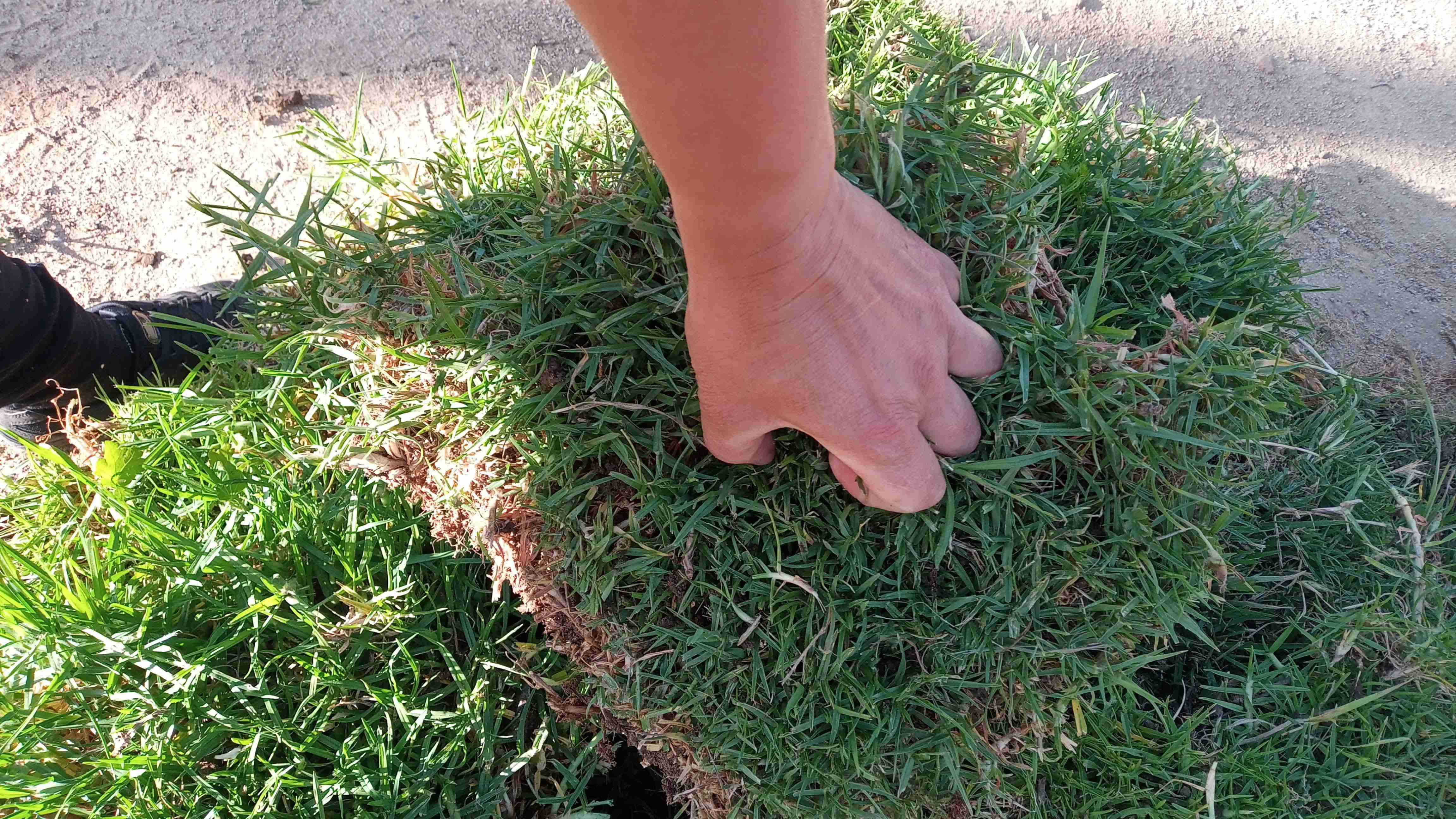 Trozos de chepica . San Agustín. Fácil instalación - miniatura 1