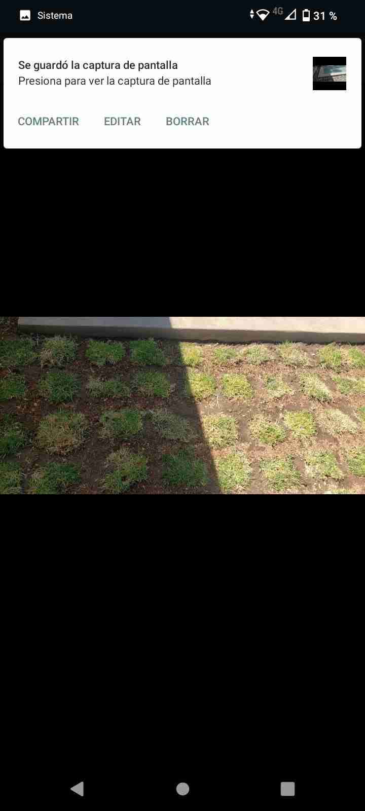 Trozos de chepica . San Agustín. Fácil instalación - miniatura 2