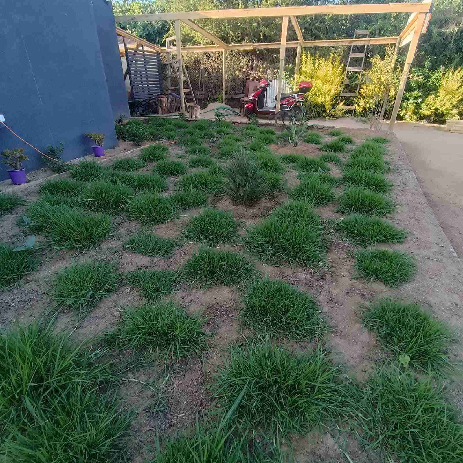 Trozos de chepica . San Agustín. Fácil instalación - miniatura 3