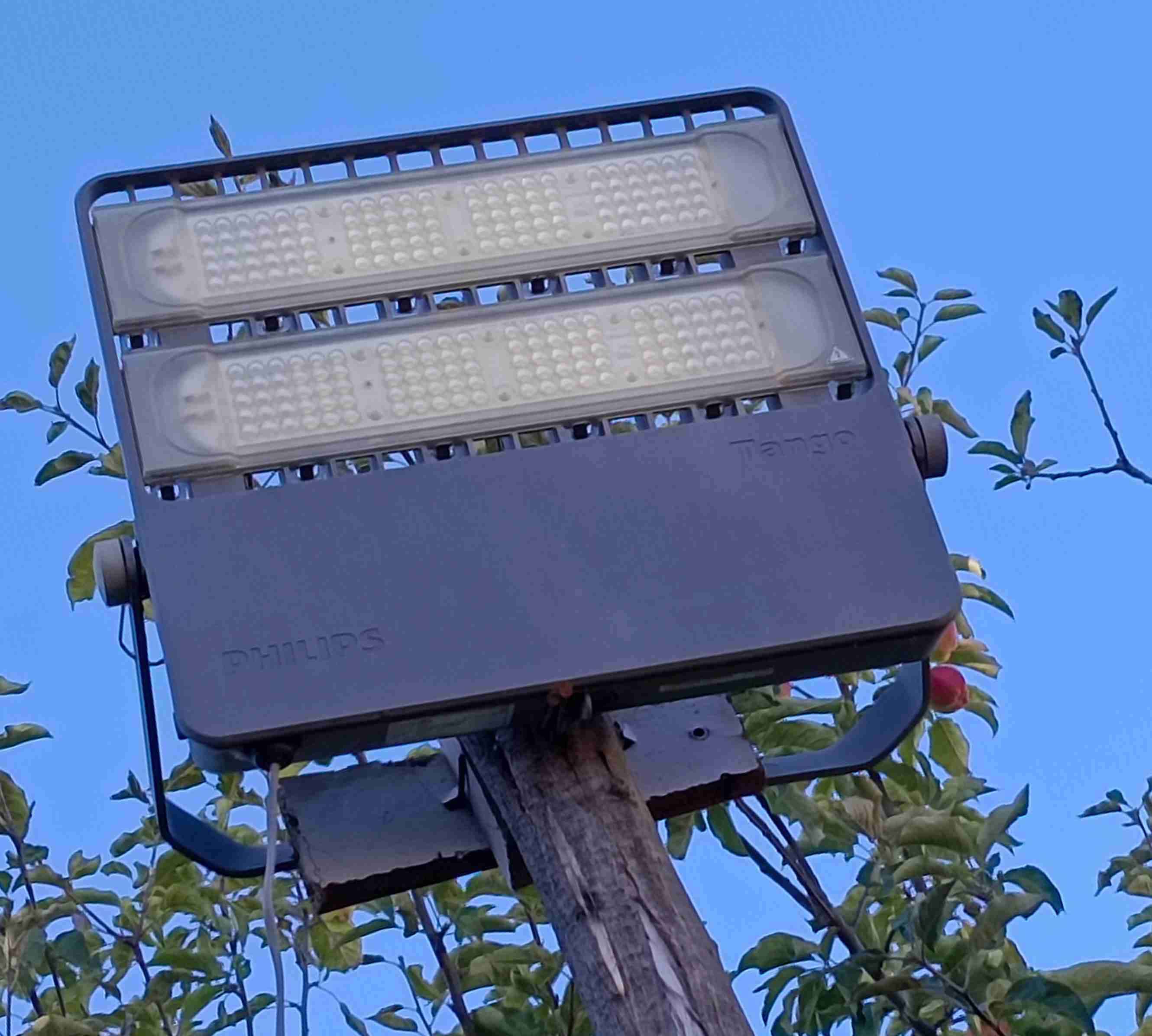 Reflector LED Philips Tango