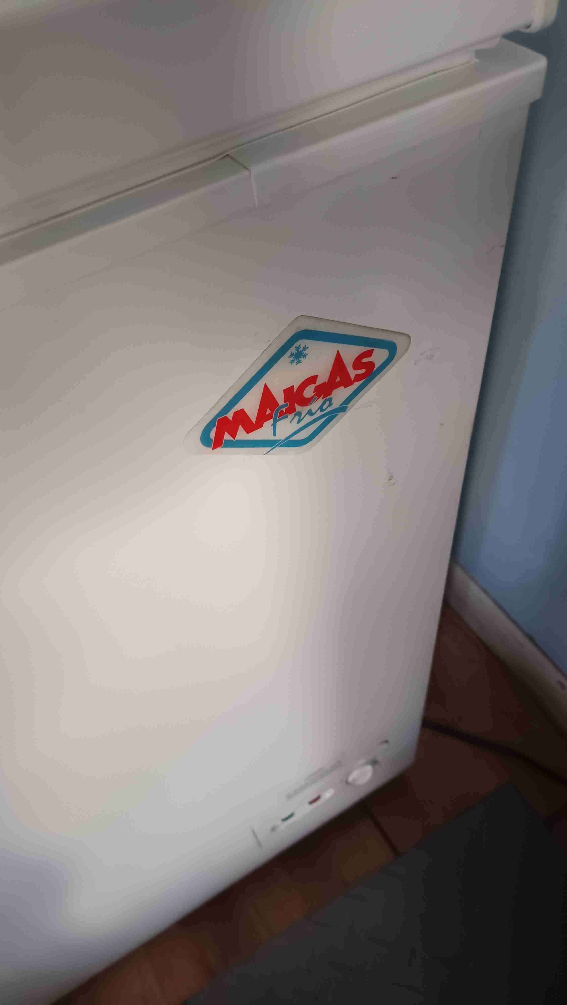 Congelador horizontal de gran capacidad - miniatura 2