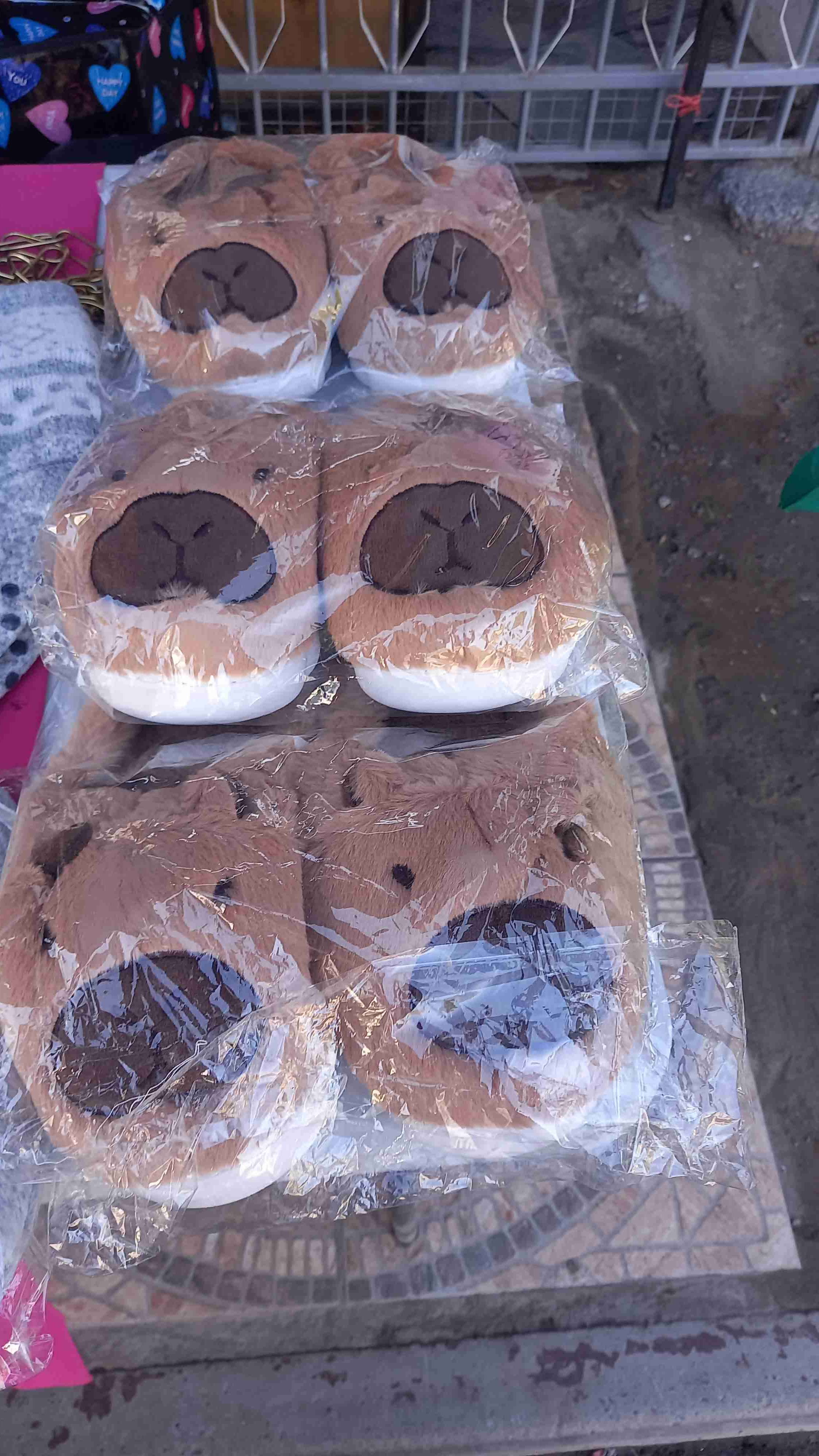 Pantuflas de Capibara - 1