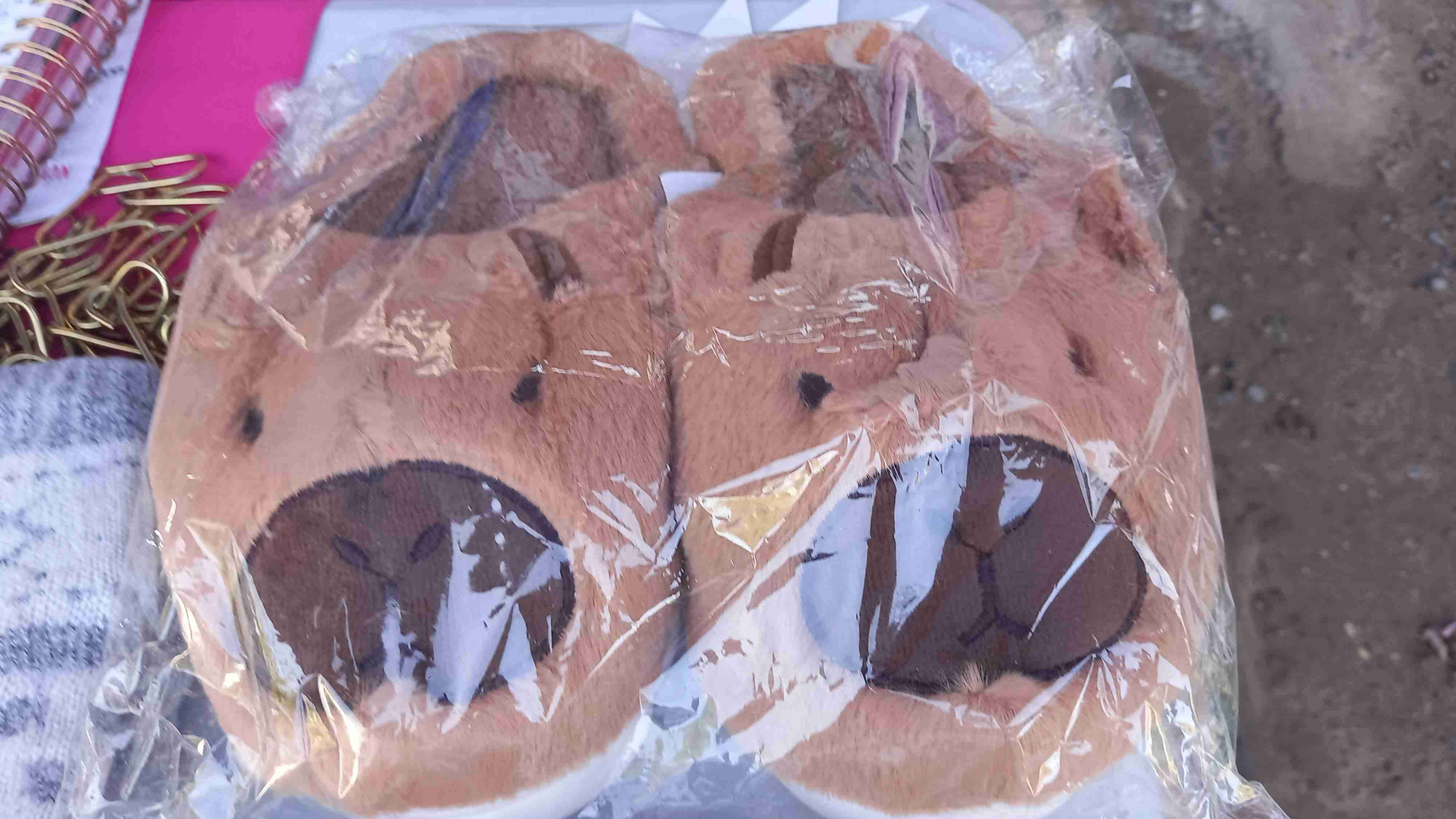 Pantuflas de Capibara - 2
