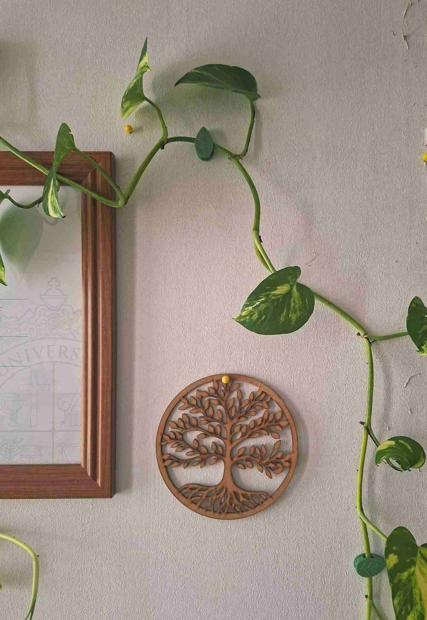 Clips para plantas trepadoras - miniatura 2