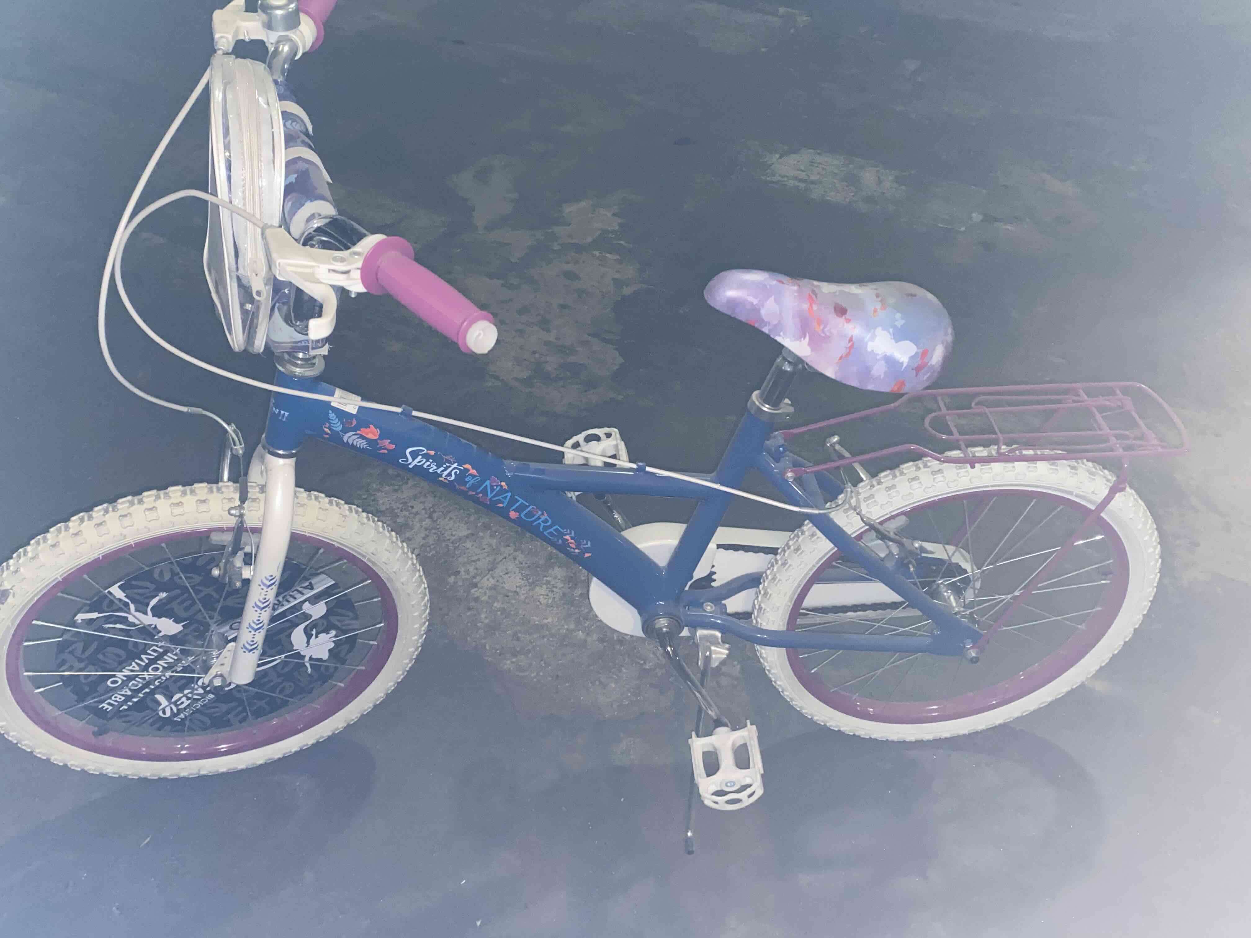 Bicicleta aro 20 Disney Frozen - miniatura 2