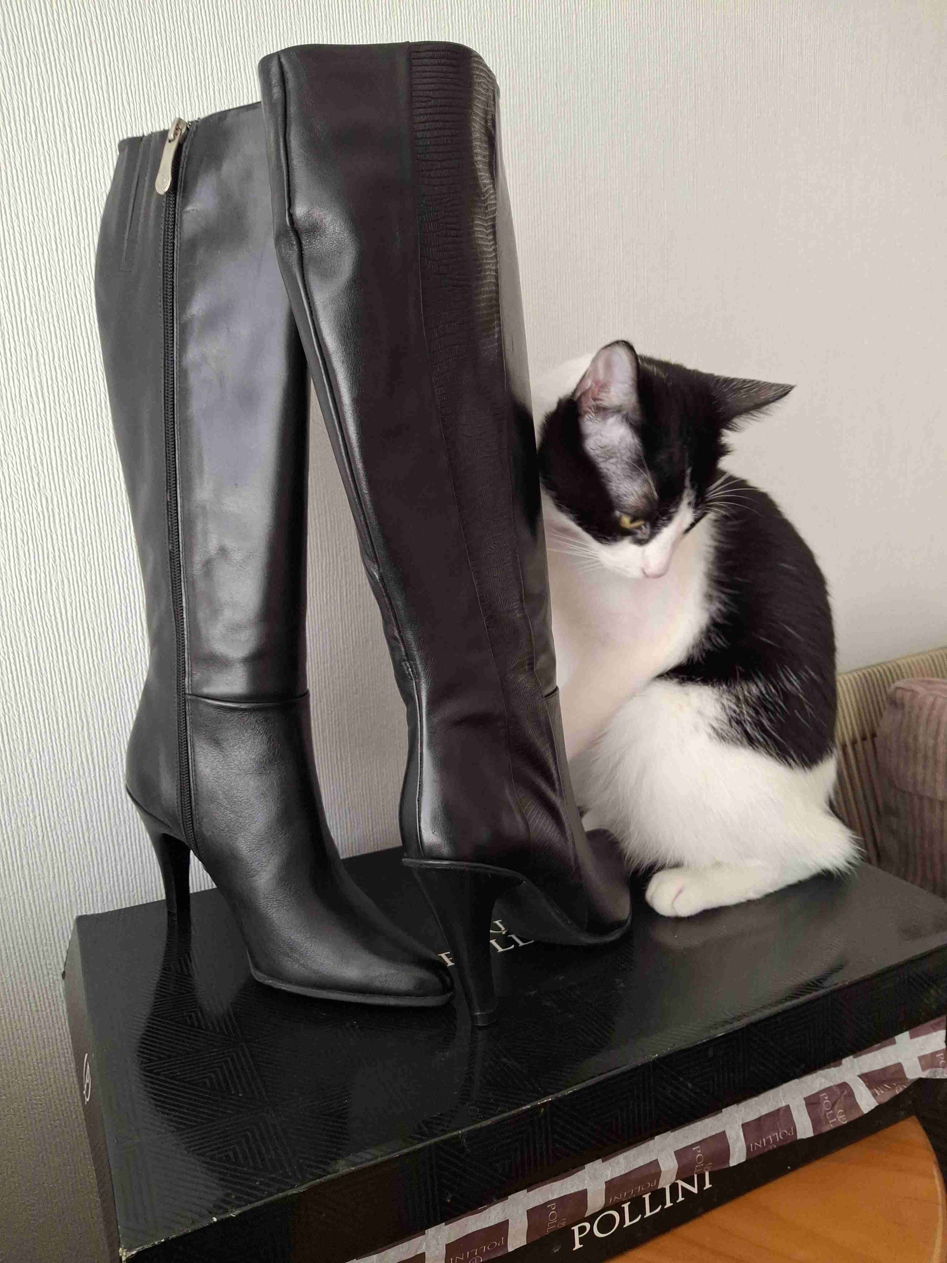 Botas Pollini de cuero negro - miniatura 3