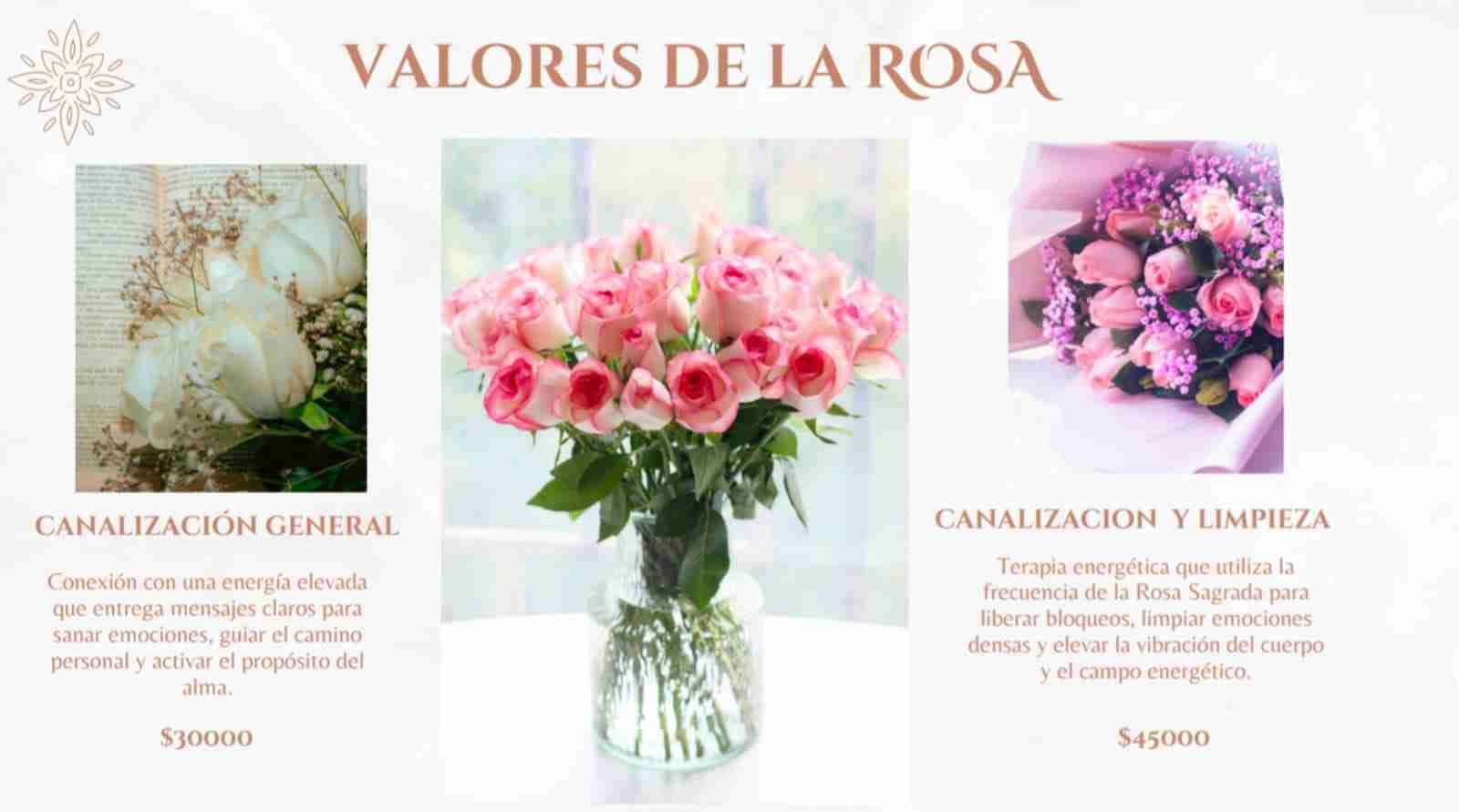 Canalización de la Rosa 🌹 - miniatura 2