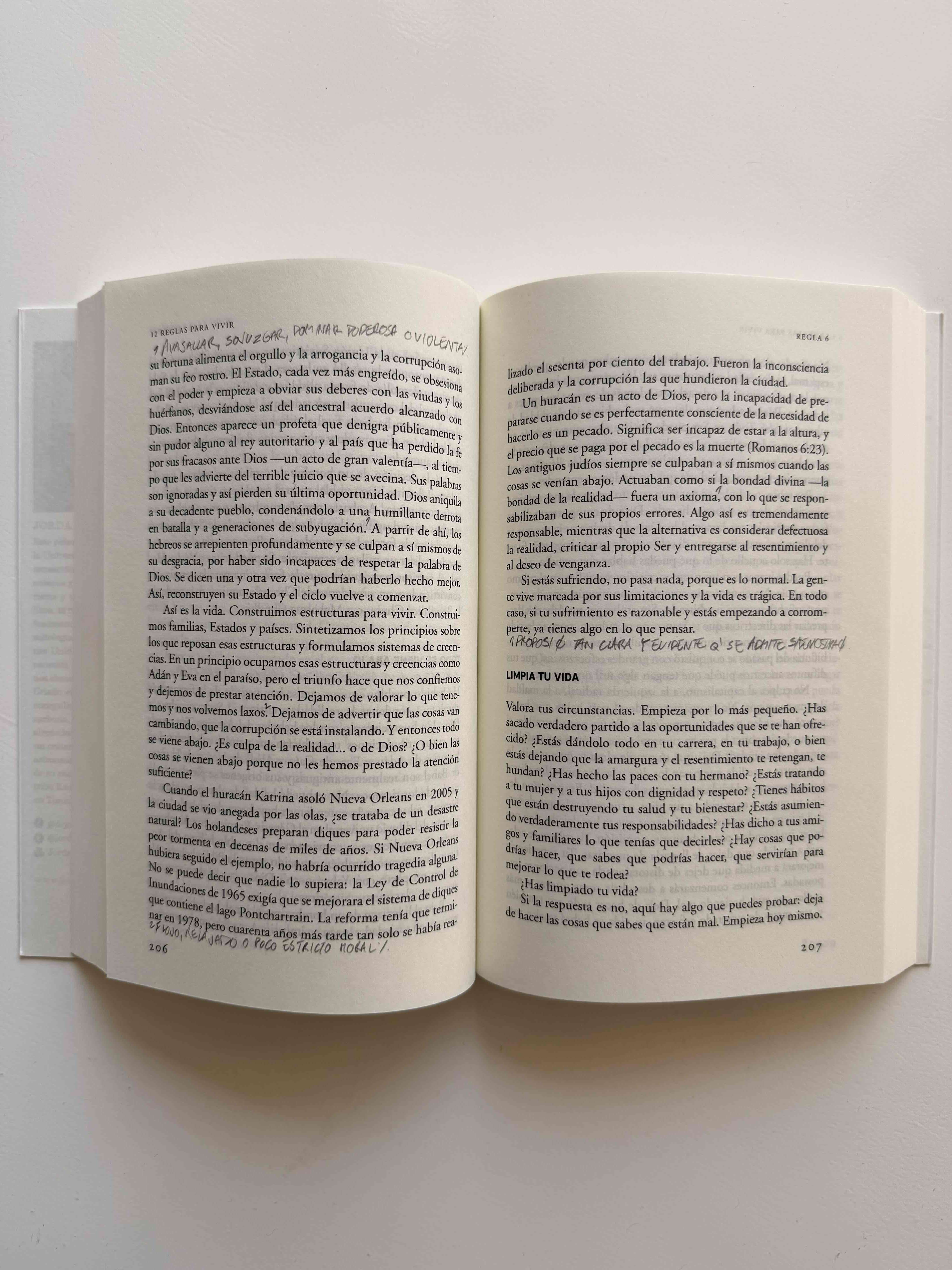 Libro '12 reglas para vivir’ Jordan B. Peterson - miniatura 5