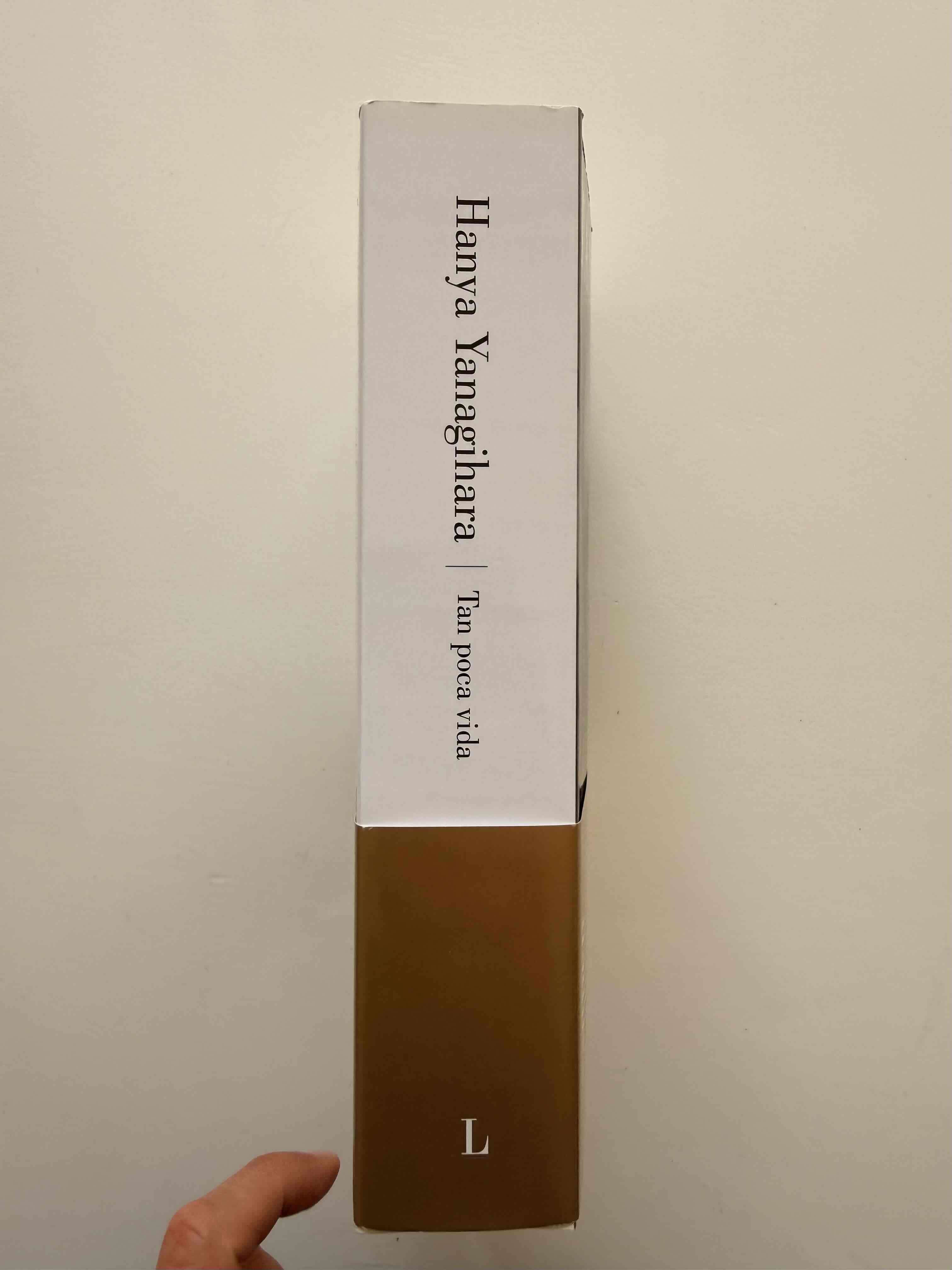 Libro 'Tan Poca Vida' Hanya Yanagihara Tapa Blanda - miniatura 3