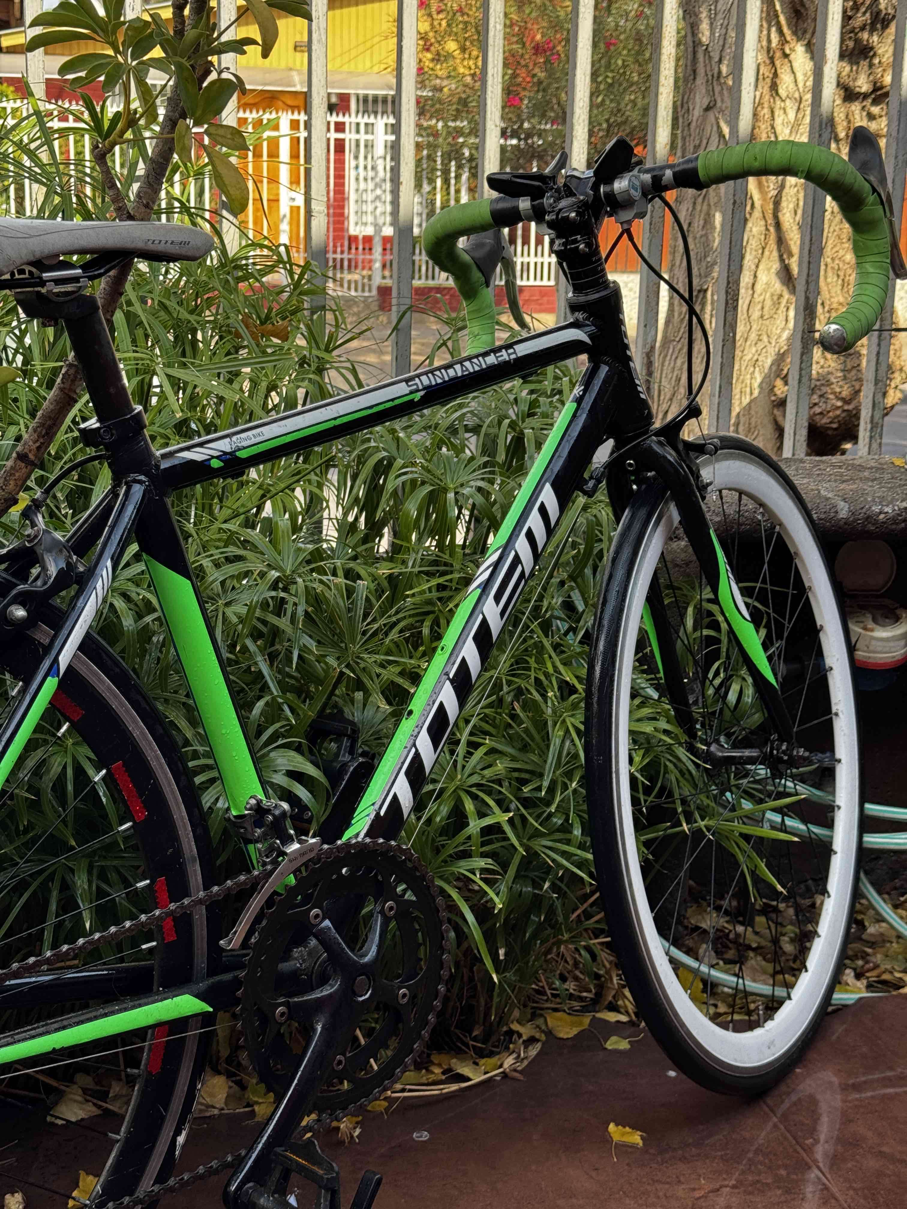 Bicicleta de ruta tótem - miniatura 1