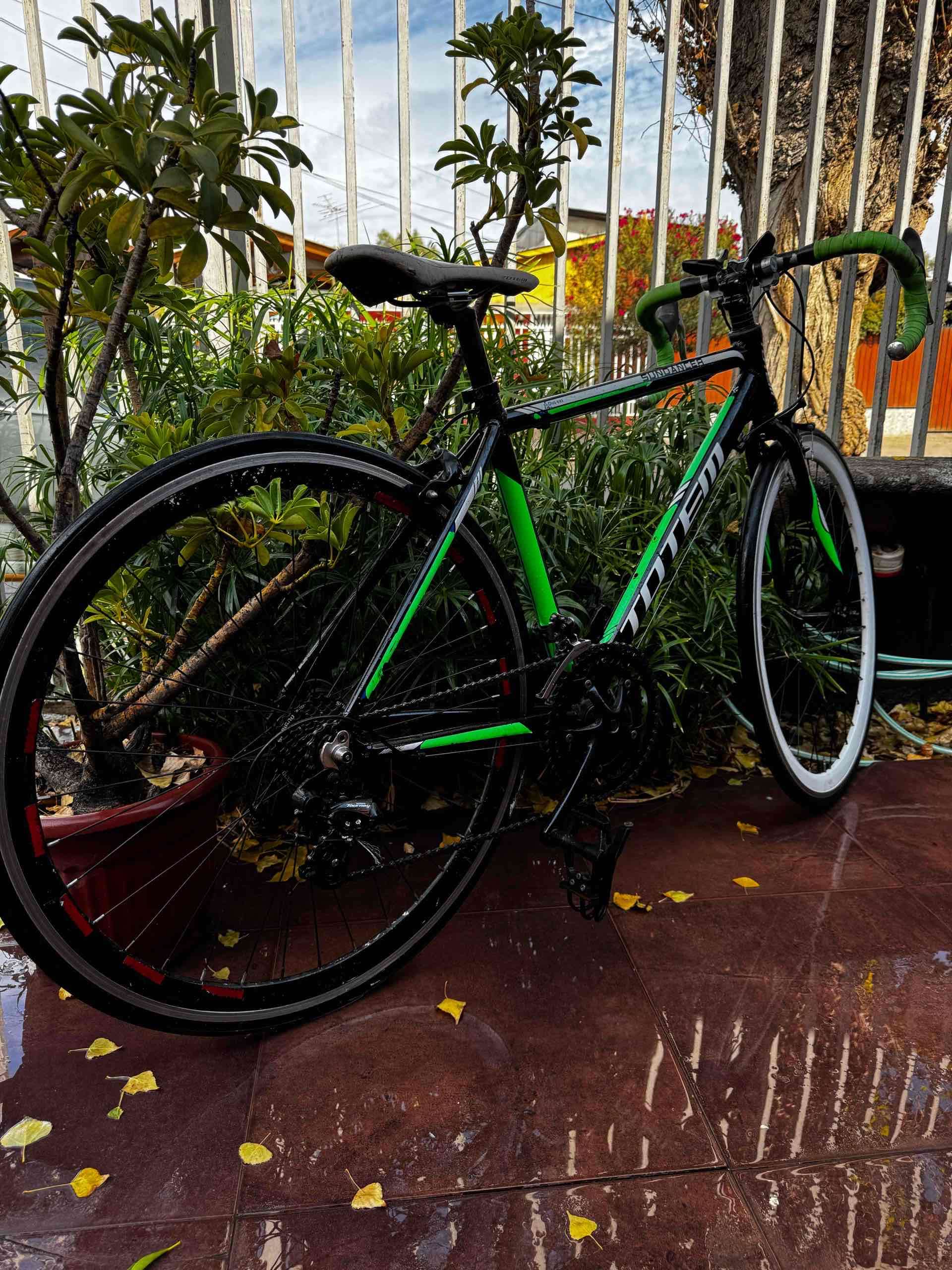 Bicicleta de ruta tótem - miniatura 2