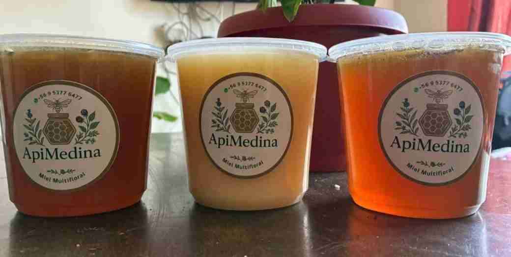 Miel multifloral ApiMedina