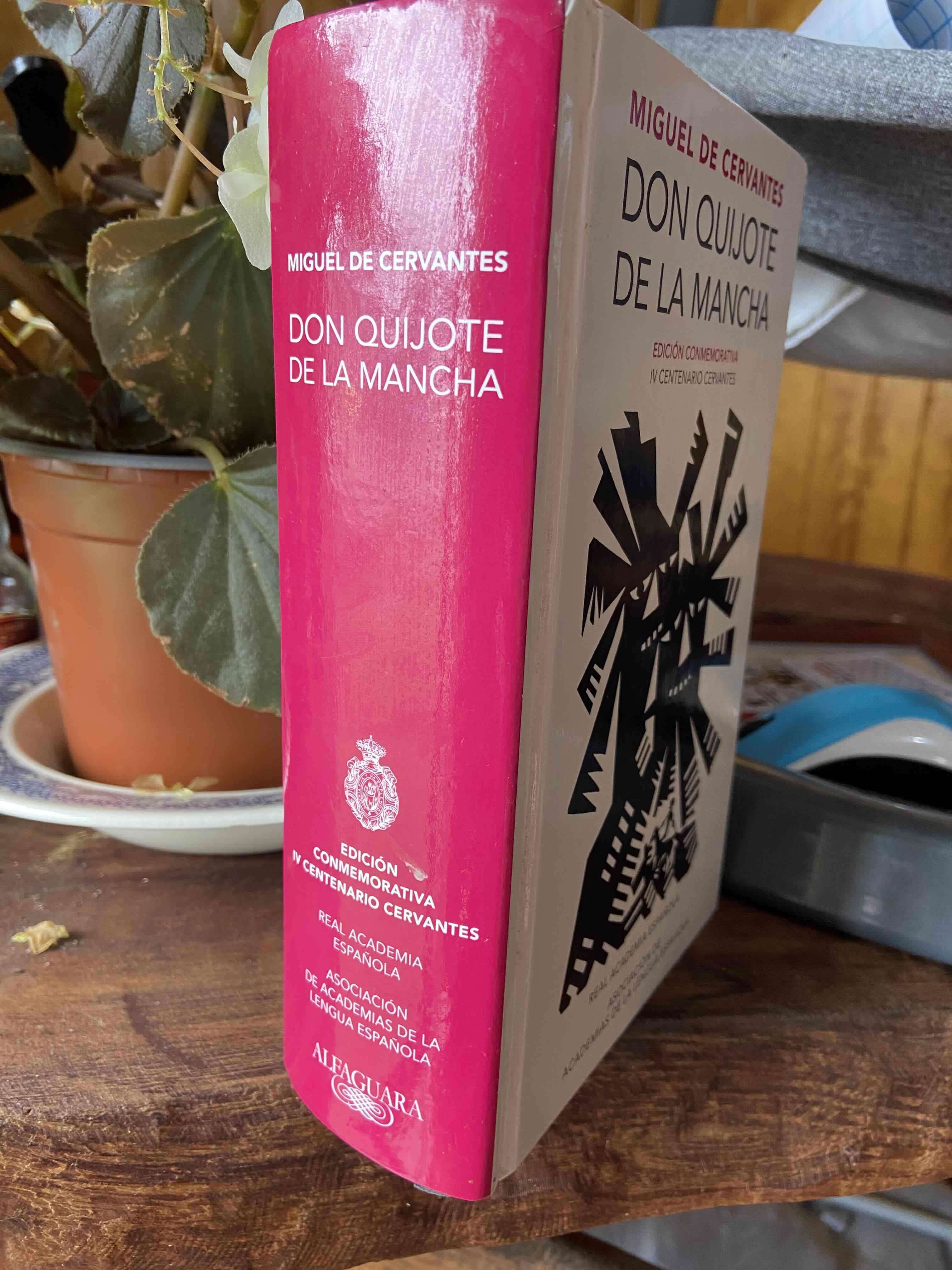 Don Quijote de la Mancha edición conmemorativa - miniatura 2