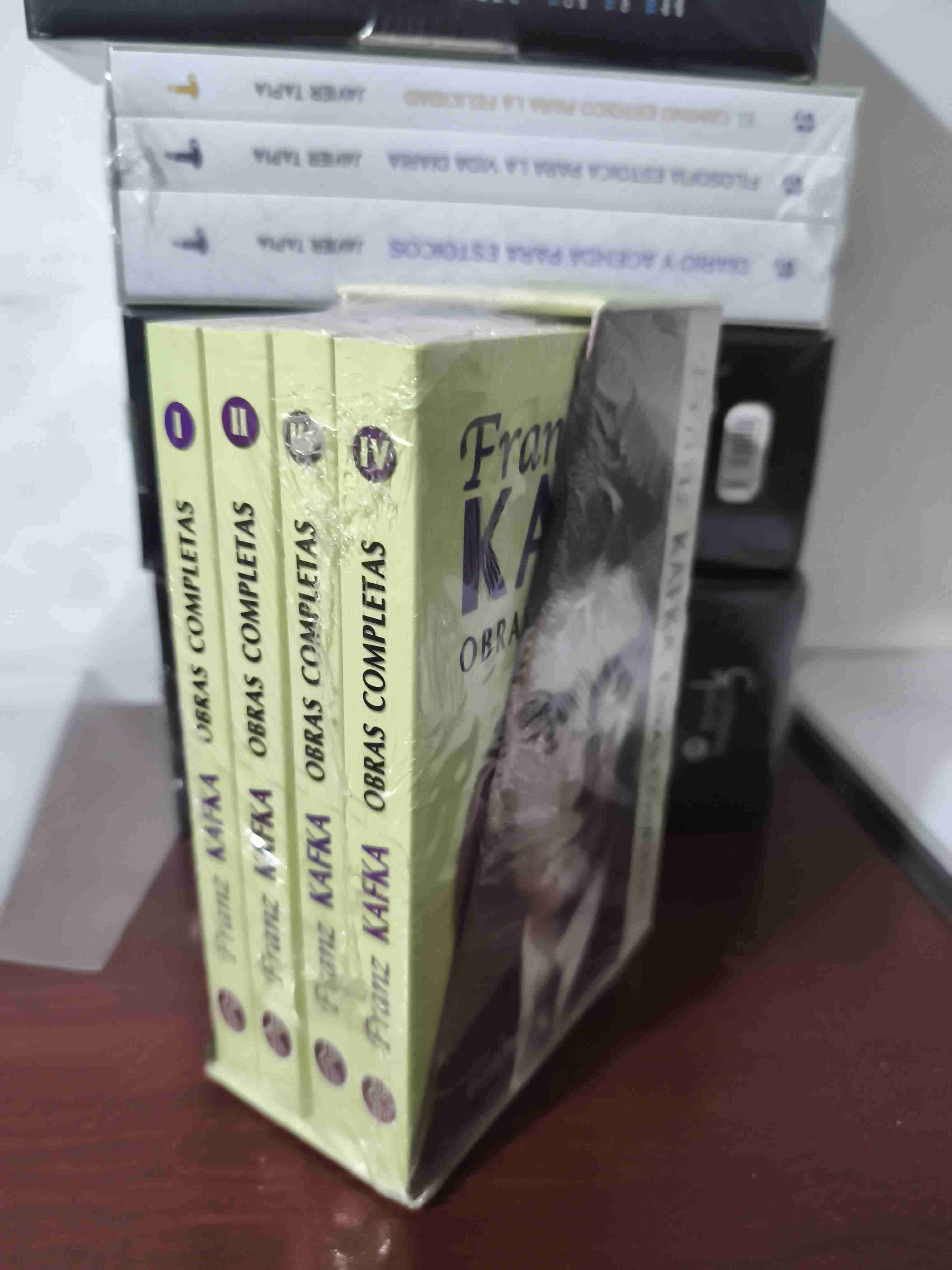 Obras completas de Franz Kafka - miniatura 2