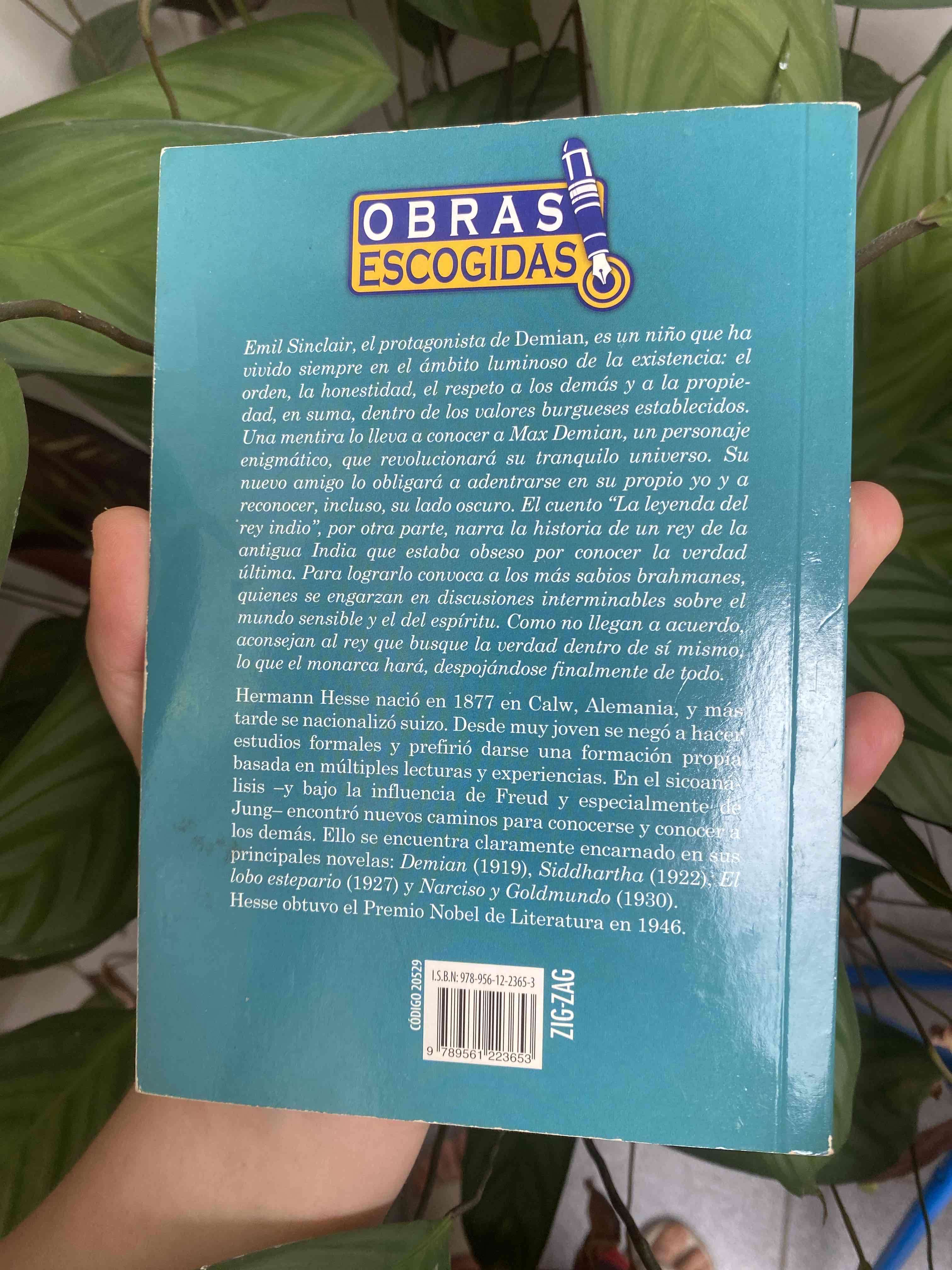 Libro Demian de Hermann Hesse - miniatura 2