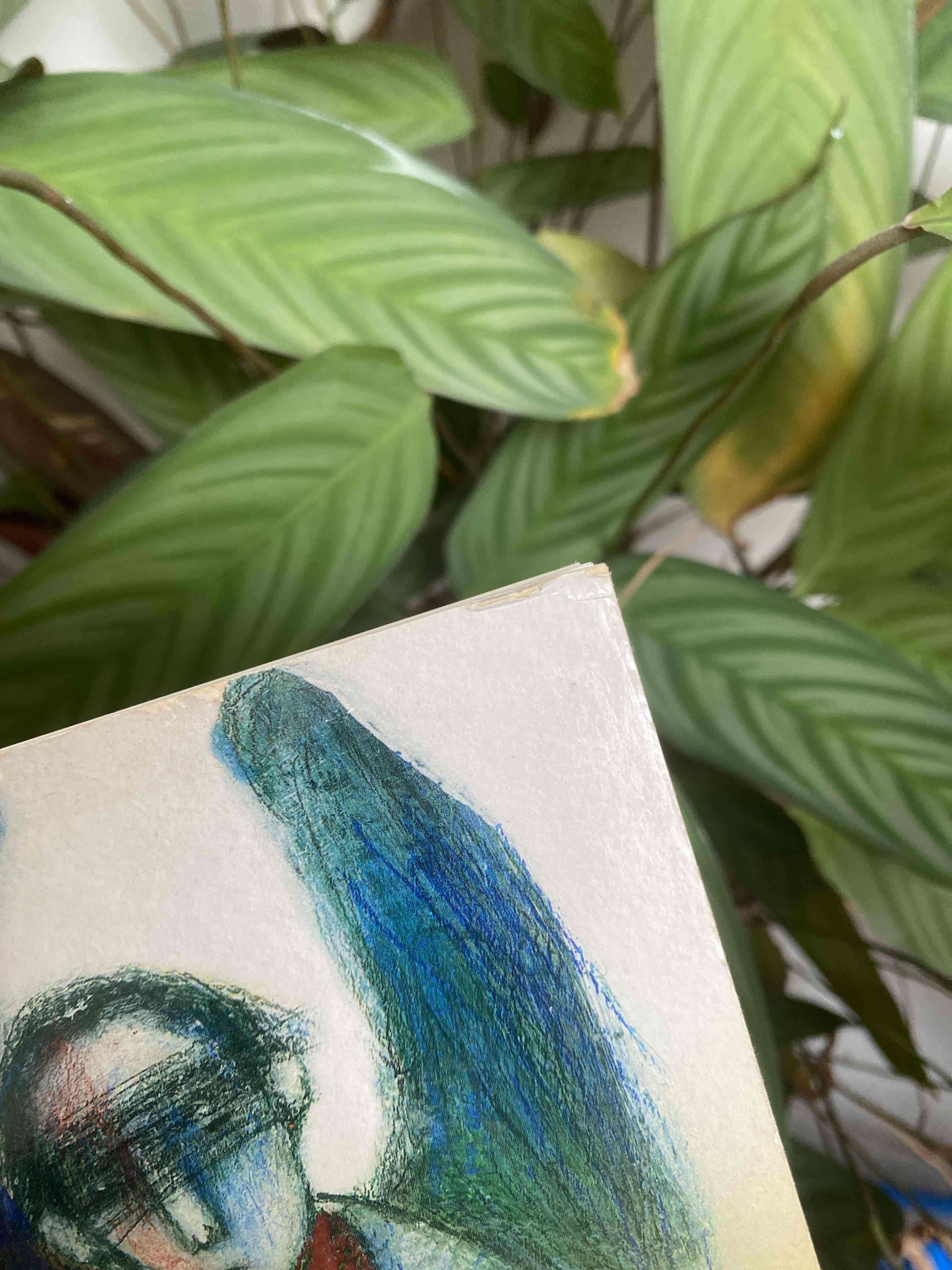 Libro Demian de Hermann Hesse - miniatura 3