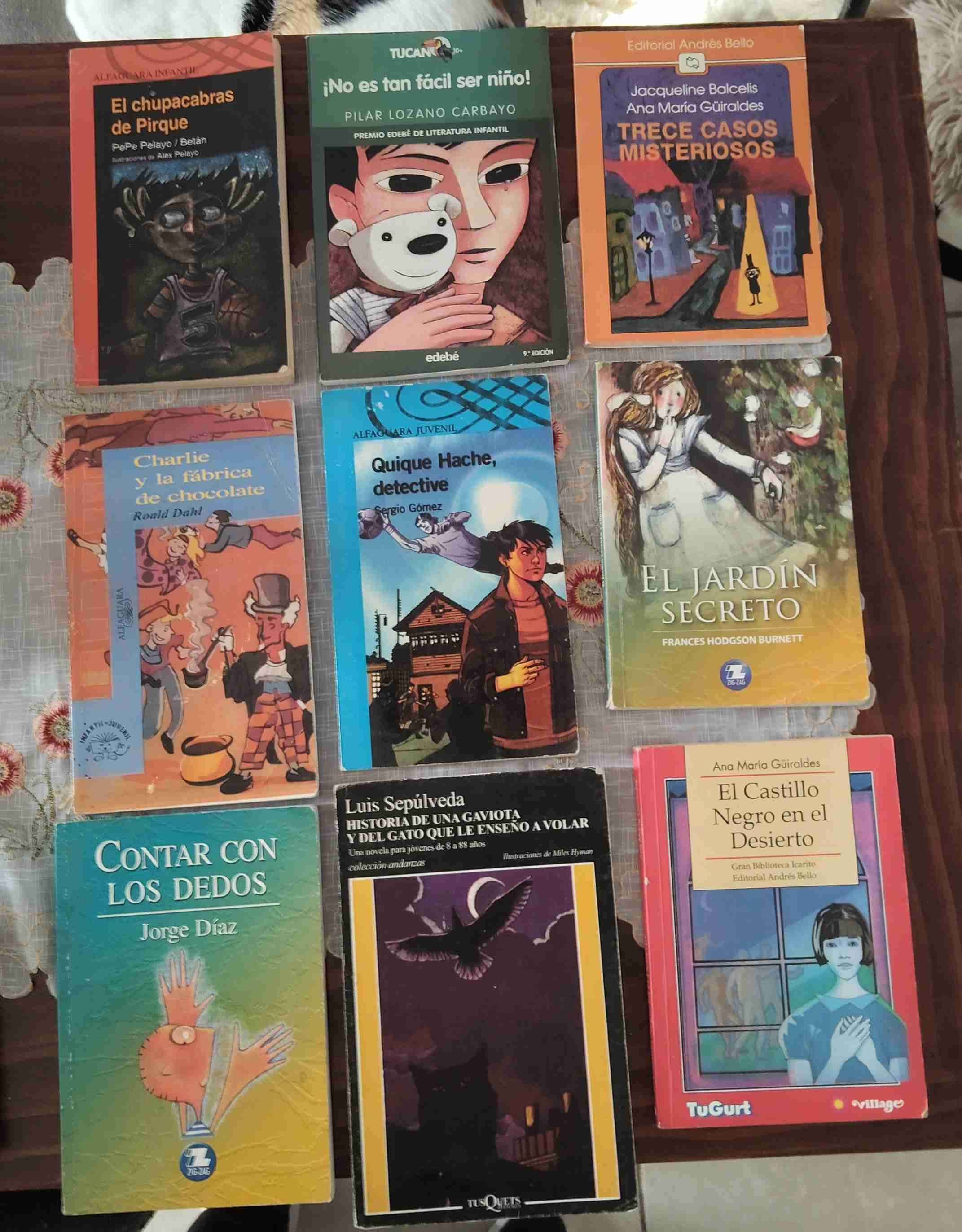 Literatura complementaria - miniatura 3