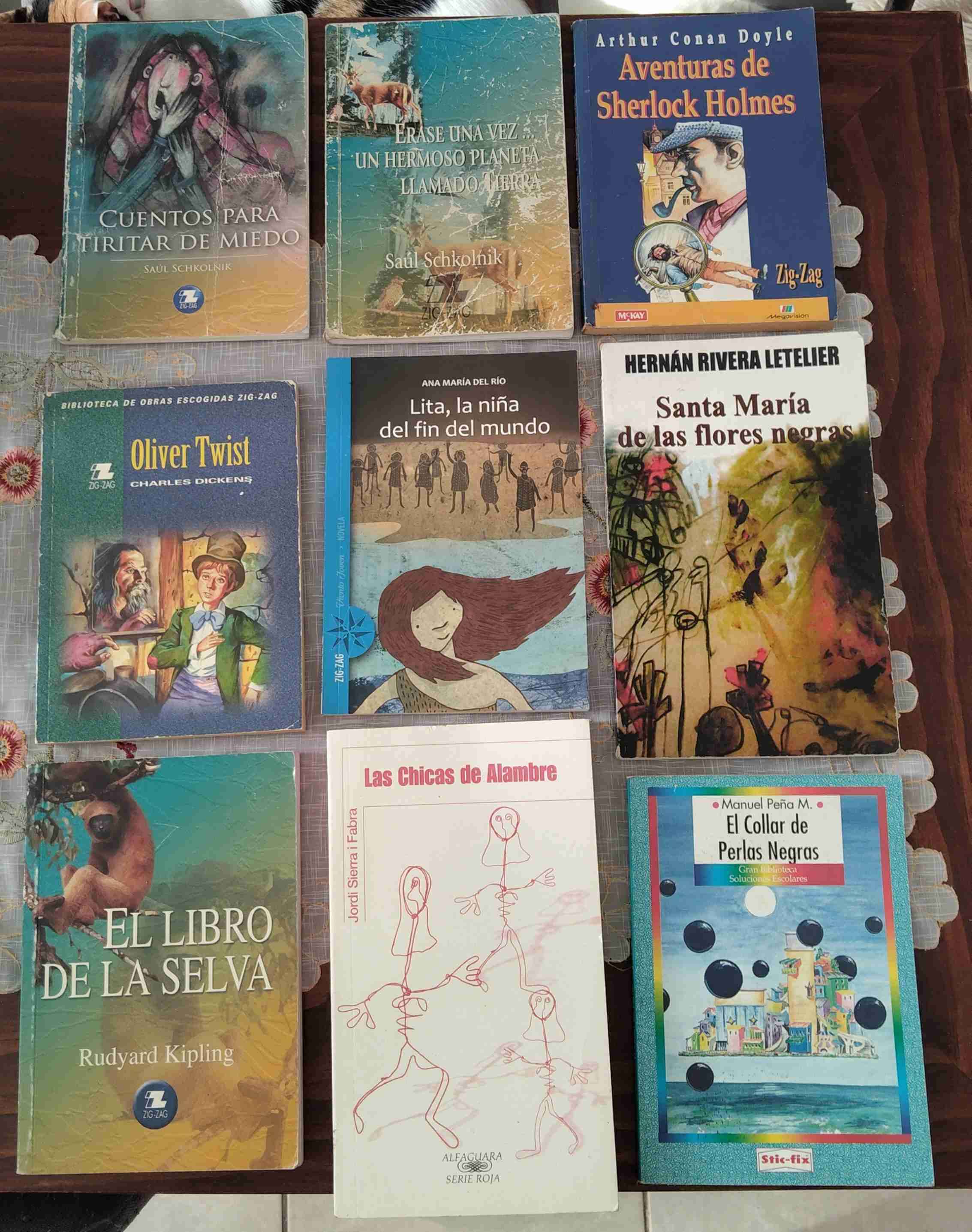 Literatura complementaria - miniatura 5