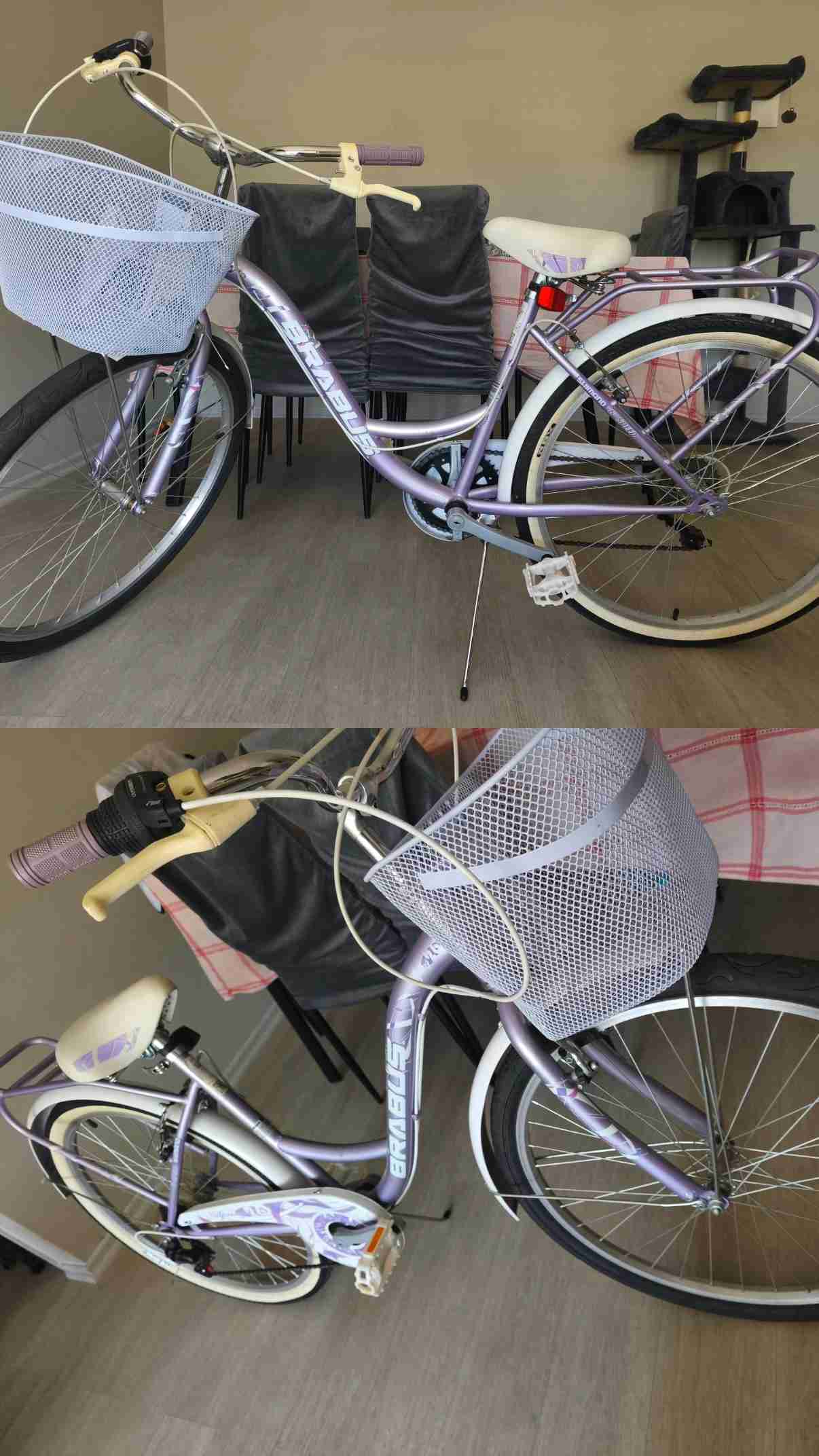 Bicicleta urbana con canasto