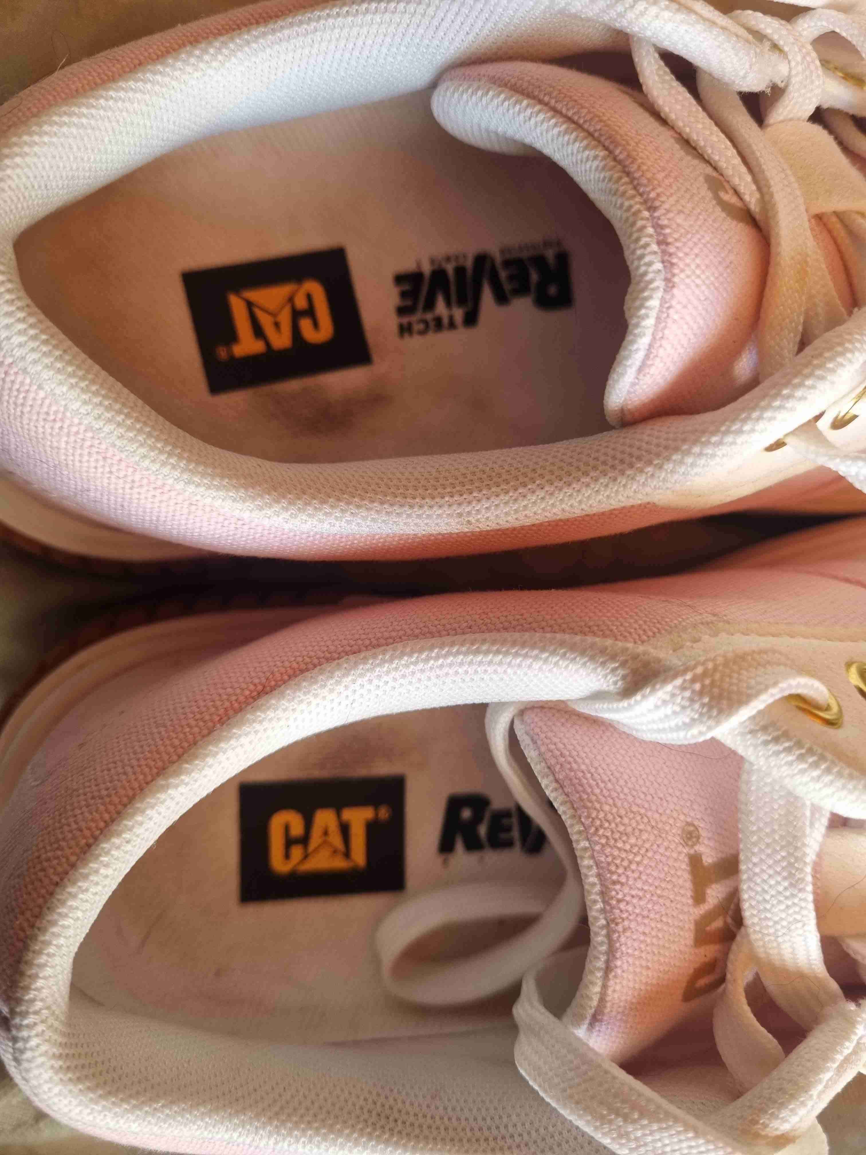 Zapatillas CAT canvas rosadas - miniatura 4