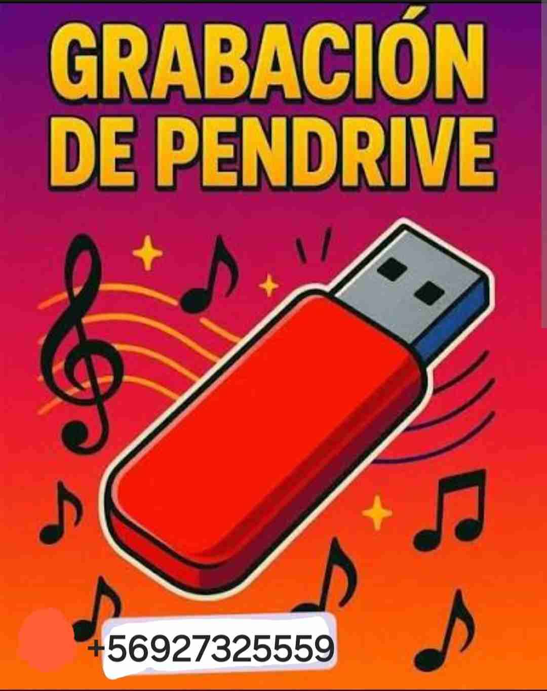 Servicio de grabación en pendrive