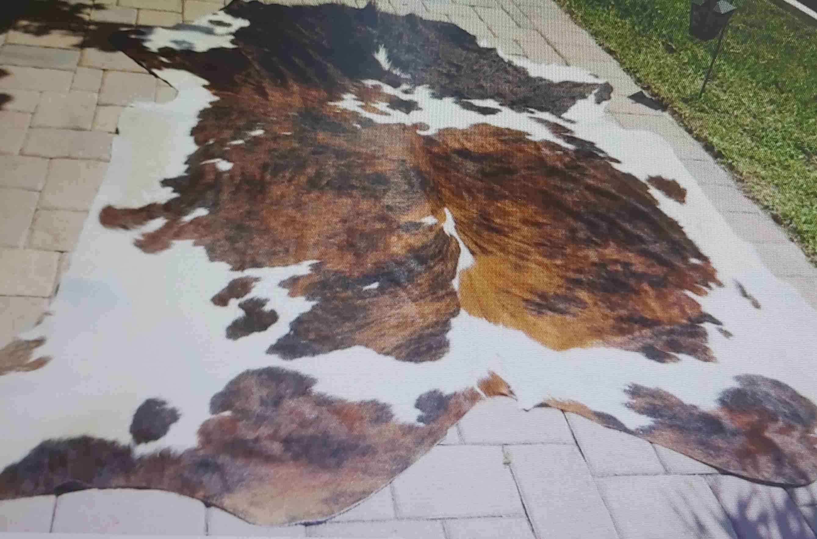 Alfombra - miniatura 2