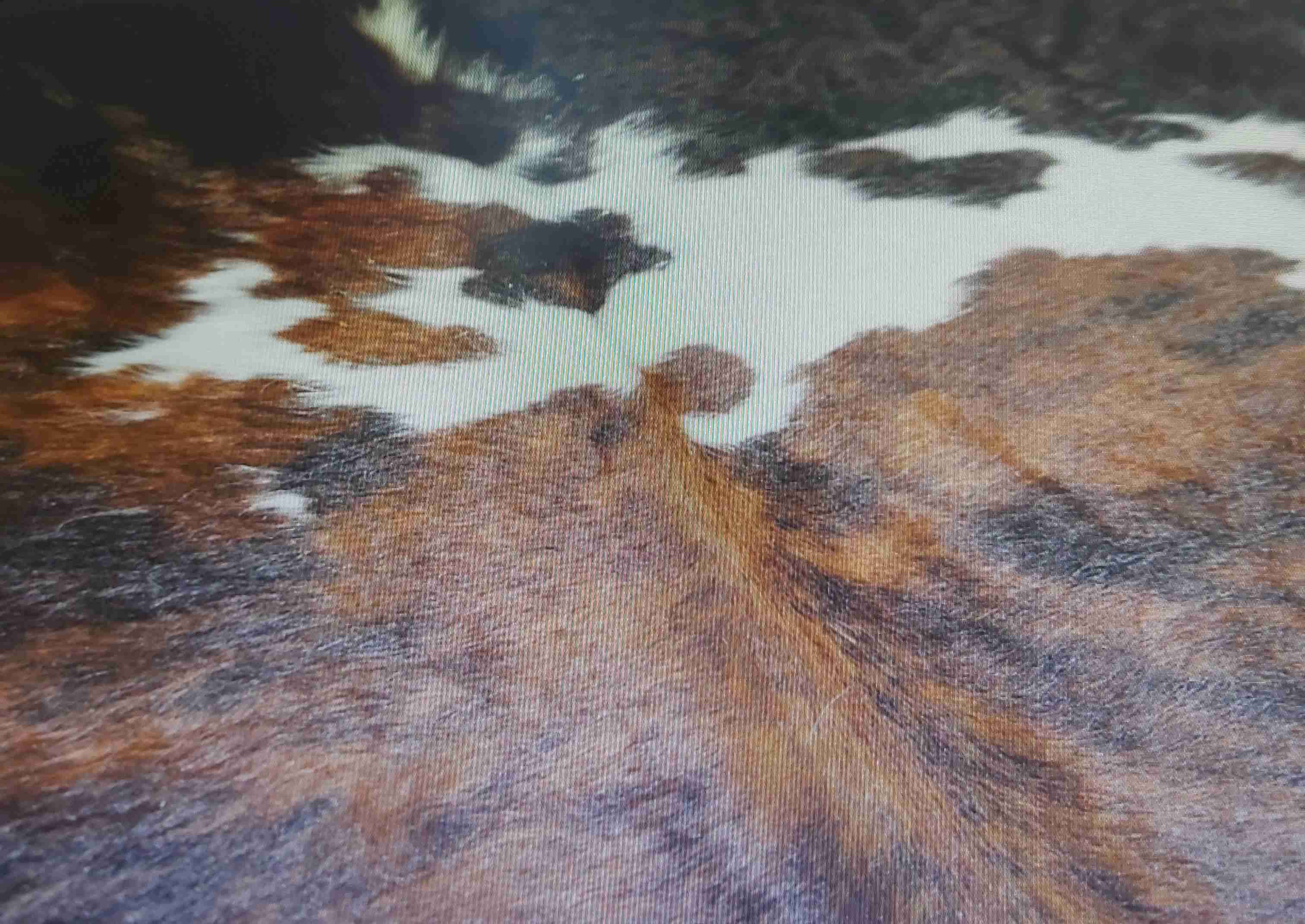 Alfombra - miniatura 6