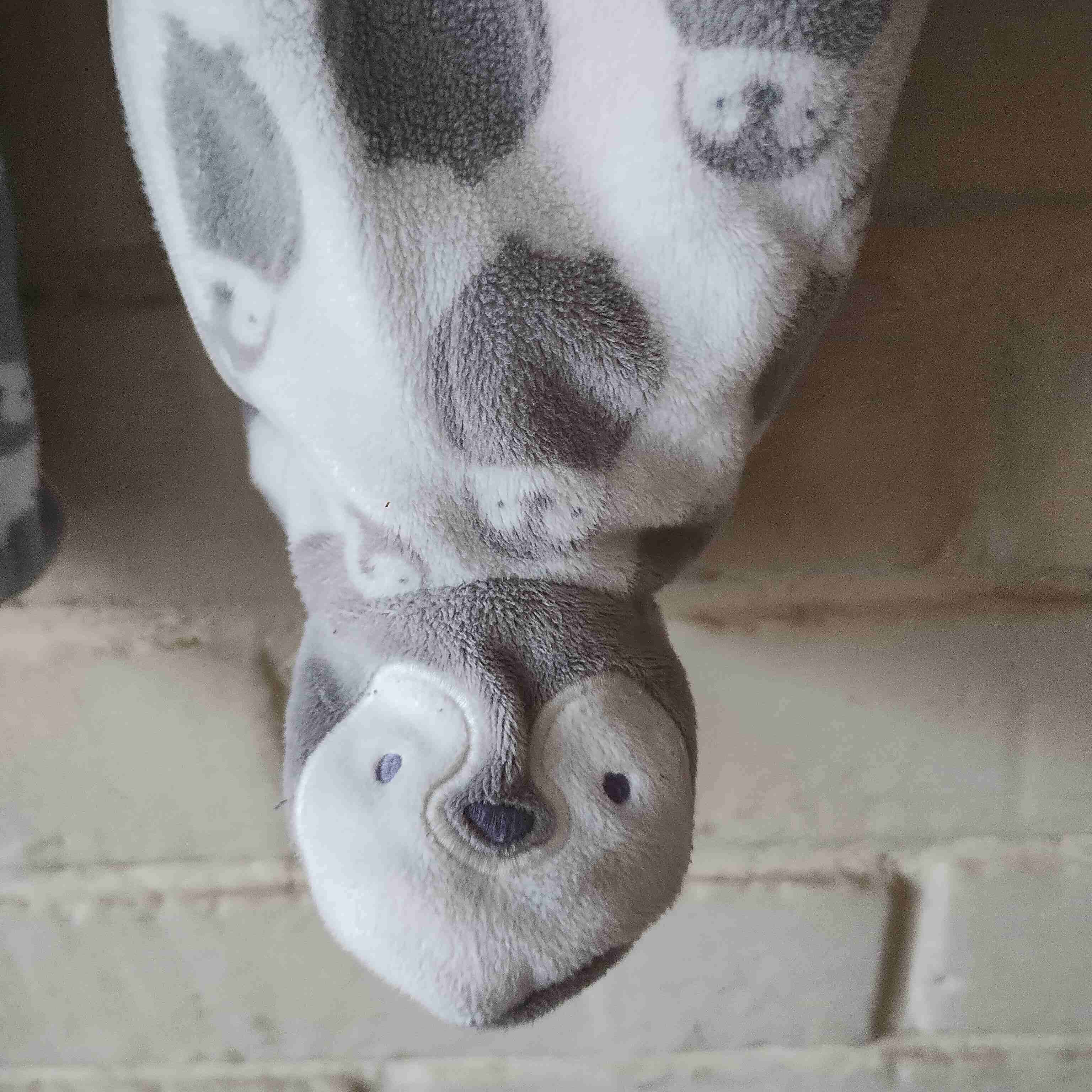 Enterito de bebé con capucha - miniatura 4