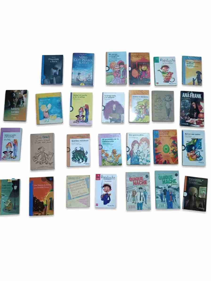 Colección de libros infantiles variados