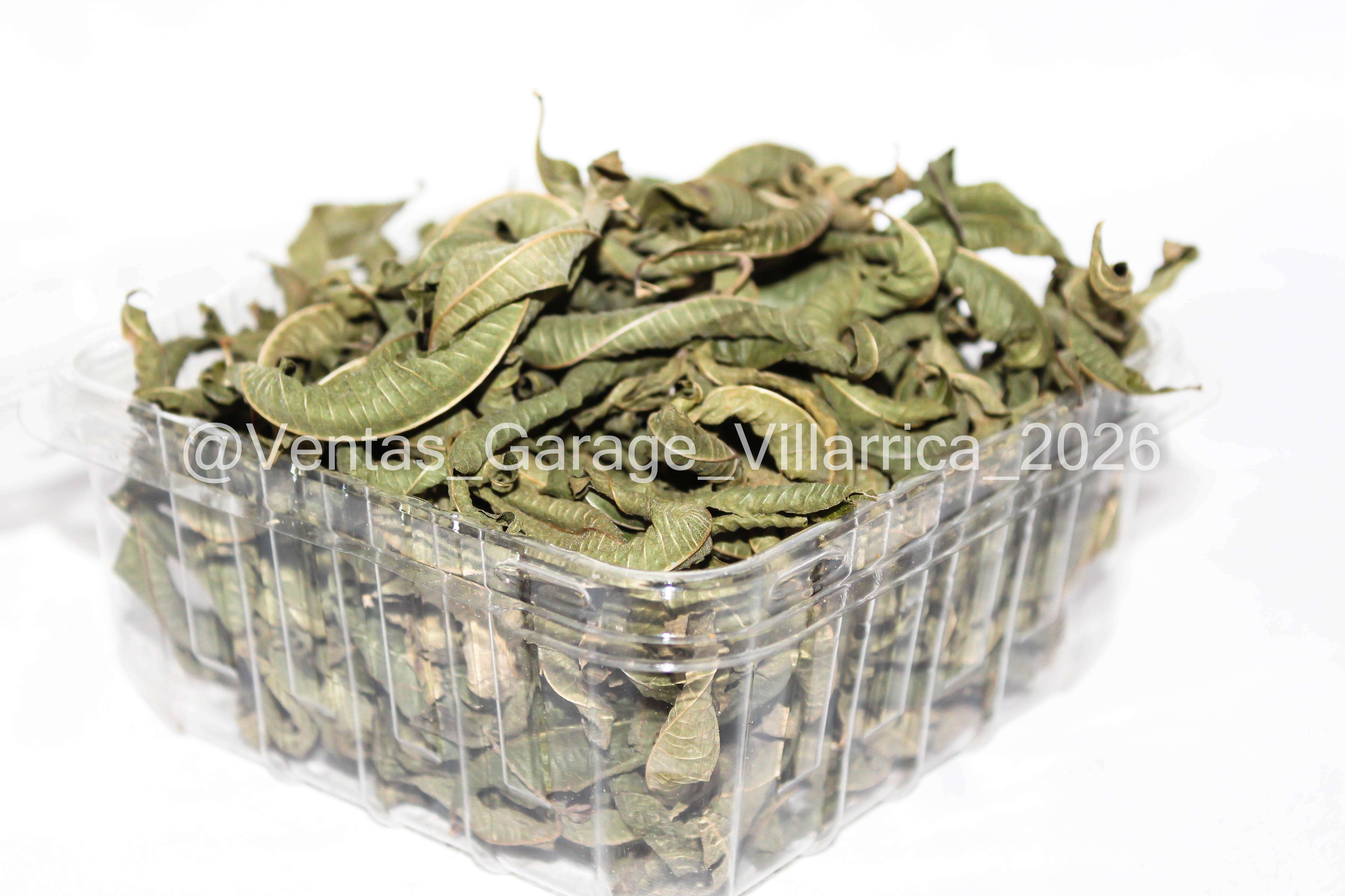 Cedrón Villarrica - miniatura 2