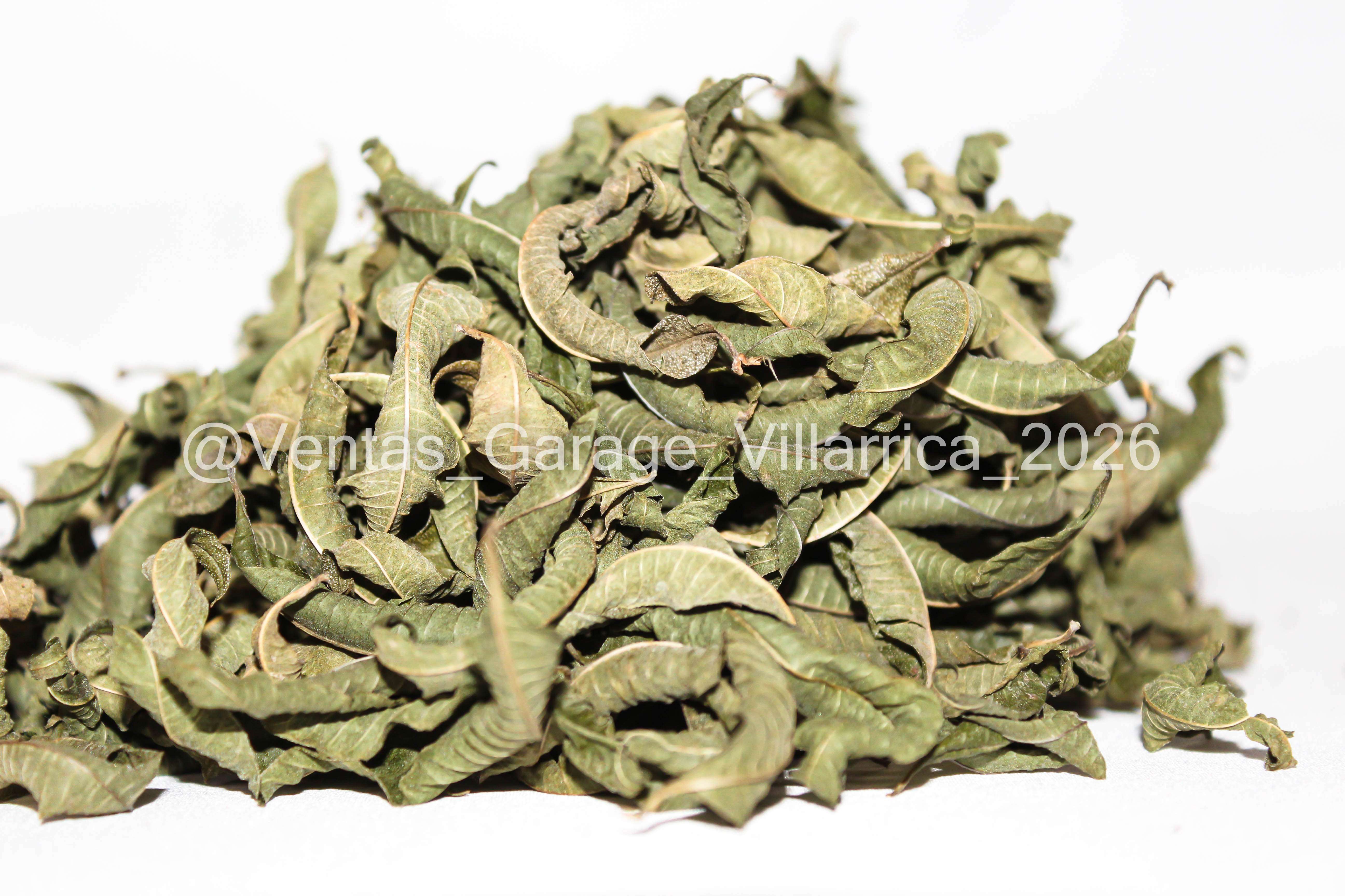 Cedrón Villarrica - miniatura 5