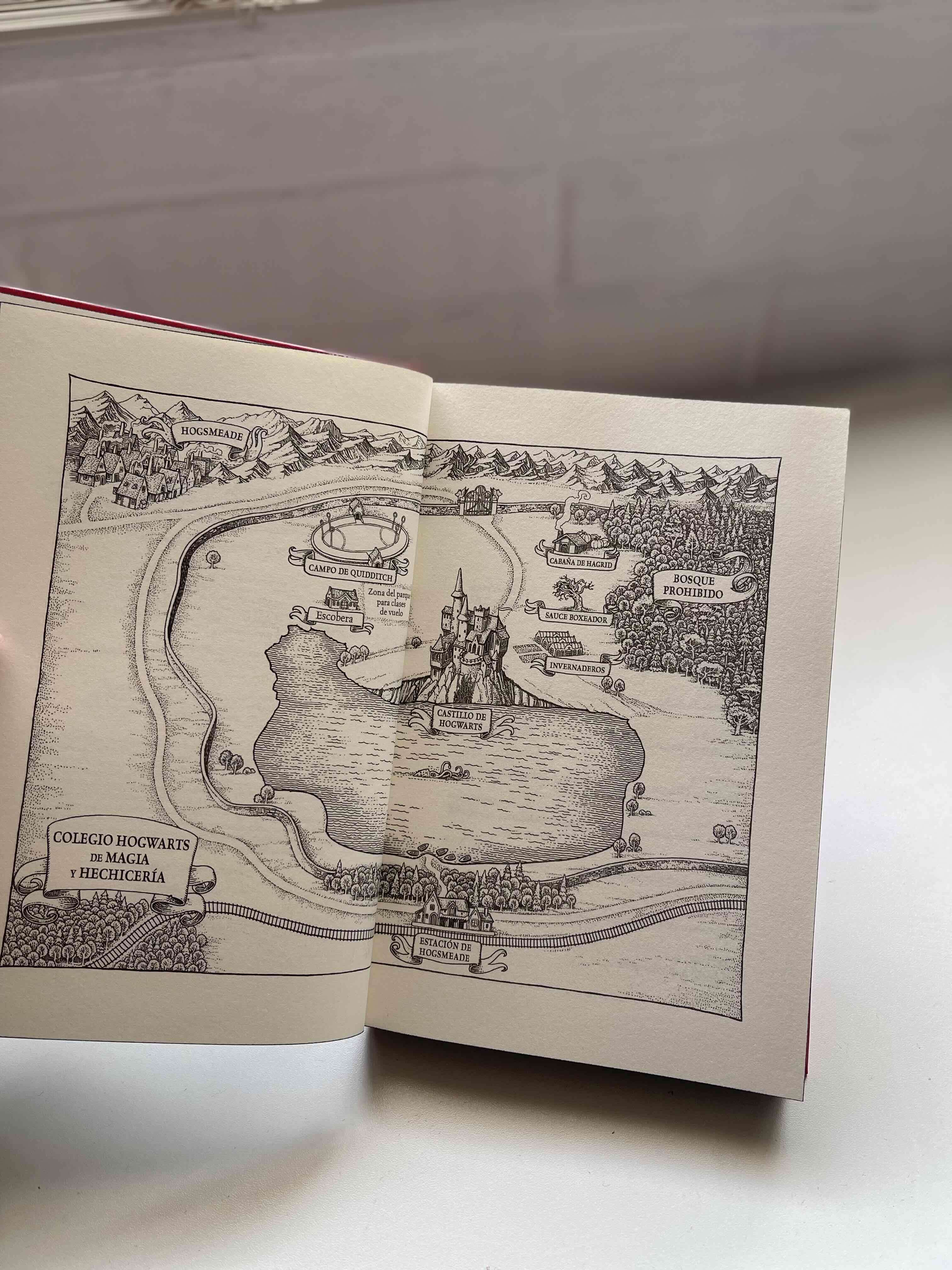 Libro Harry Potter y la piedra filosofal - miniatura 3