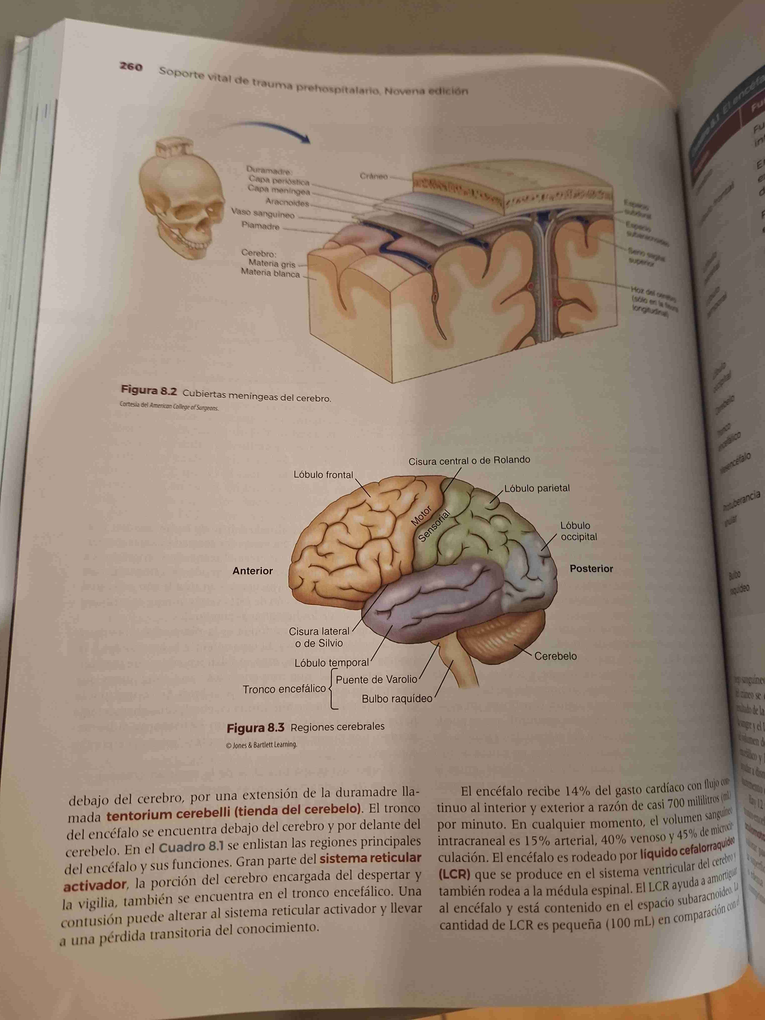 Libro PHTLS Novena Edición - miniatura 3