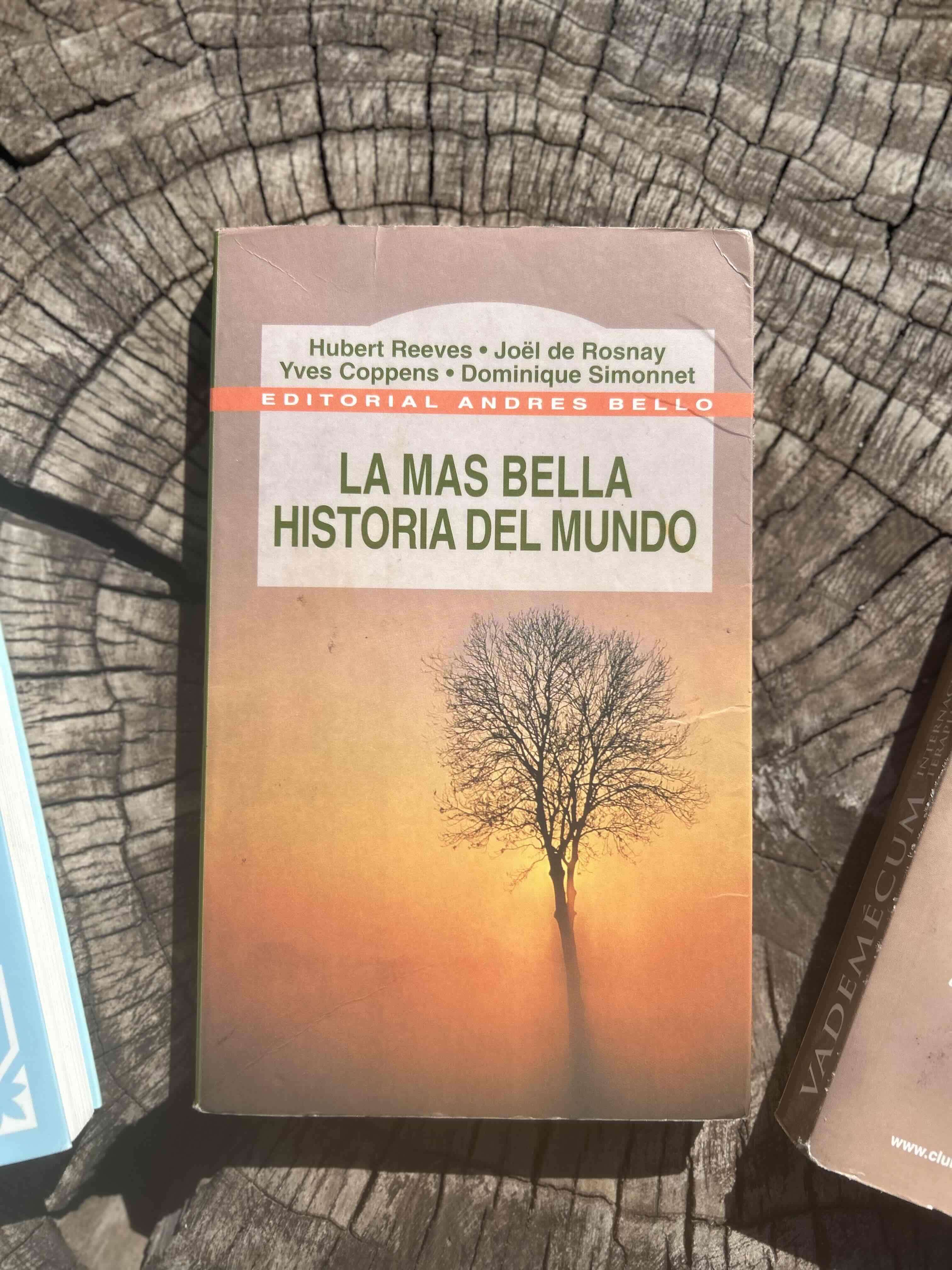 Libro La Más Bella Historia del Mundo