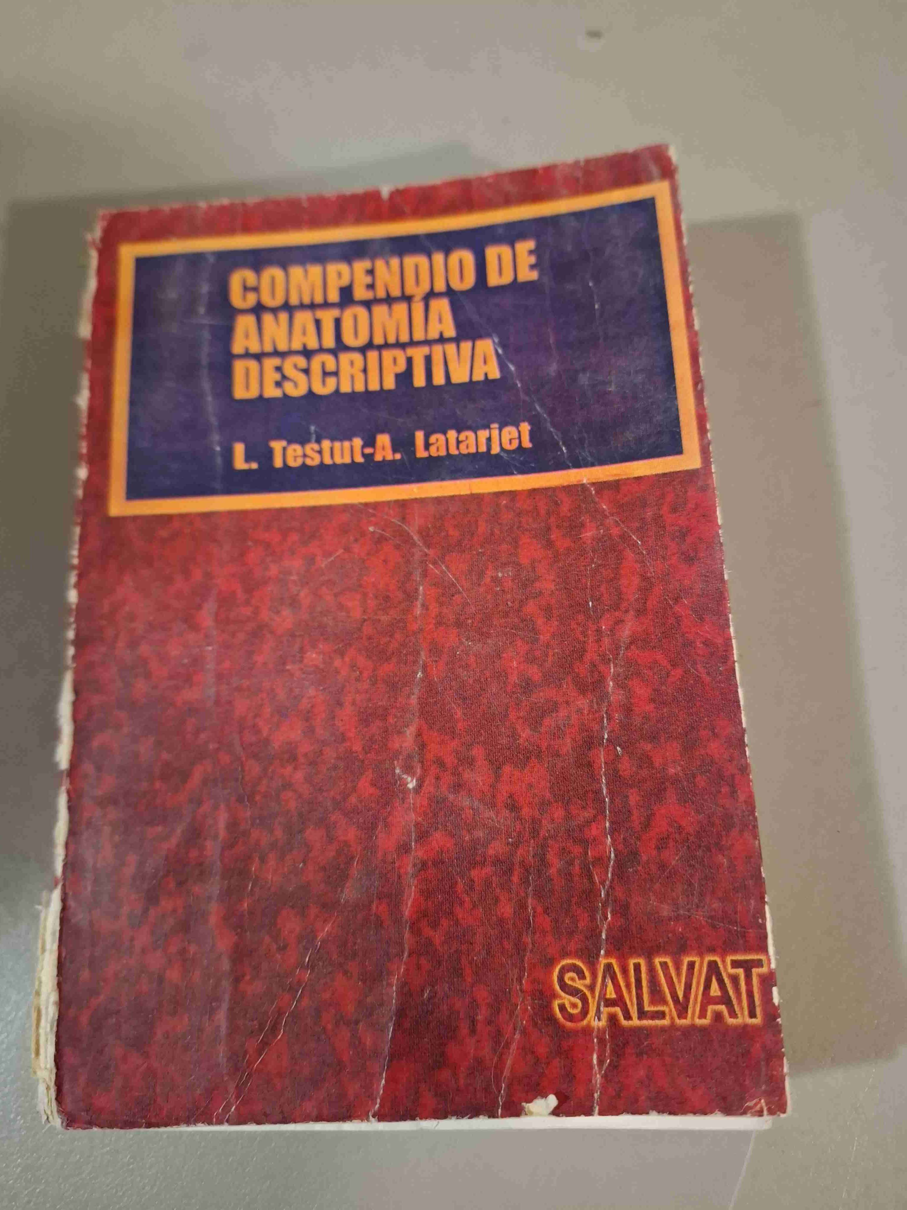 Compendio de Anatomía Descriptiva - miniatura 1