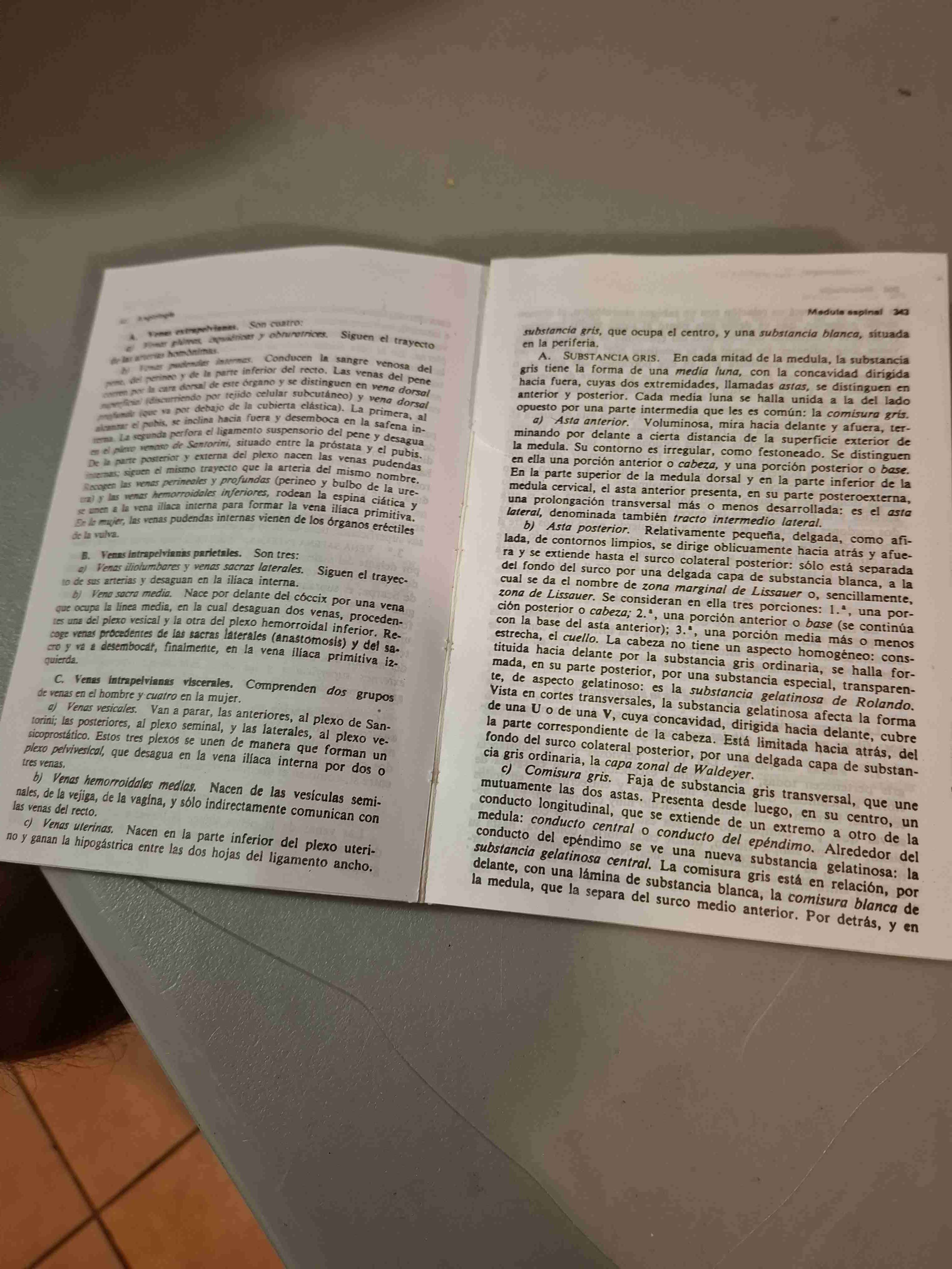 Compendio de Anatomía Descriptiva - miniatura 2