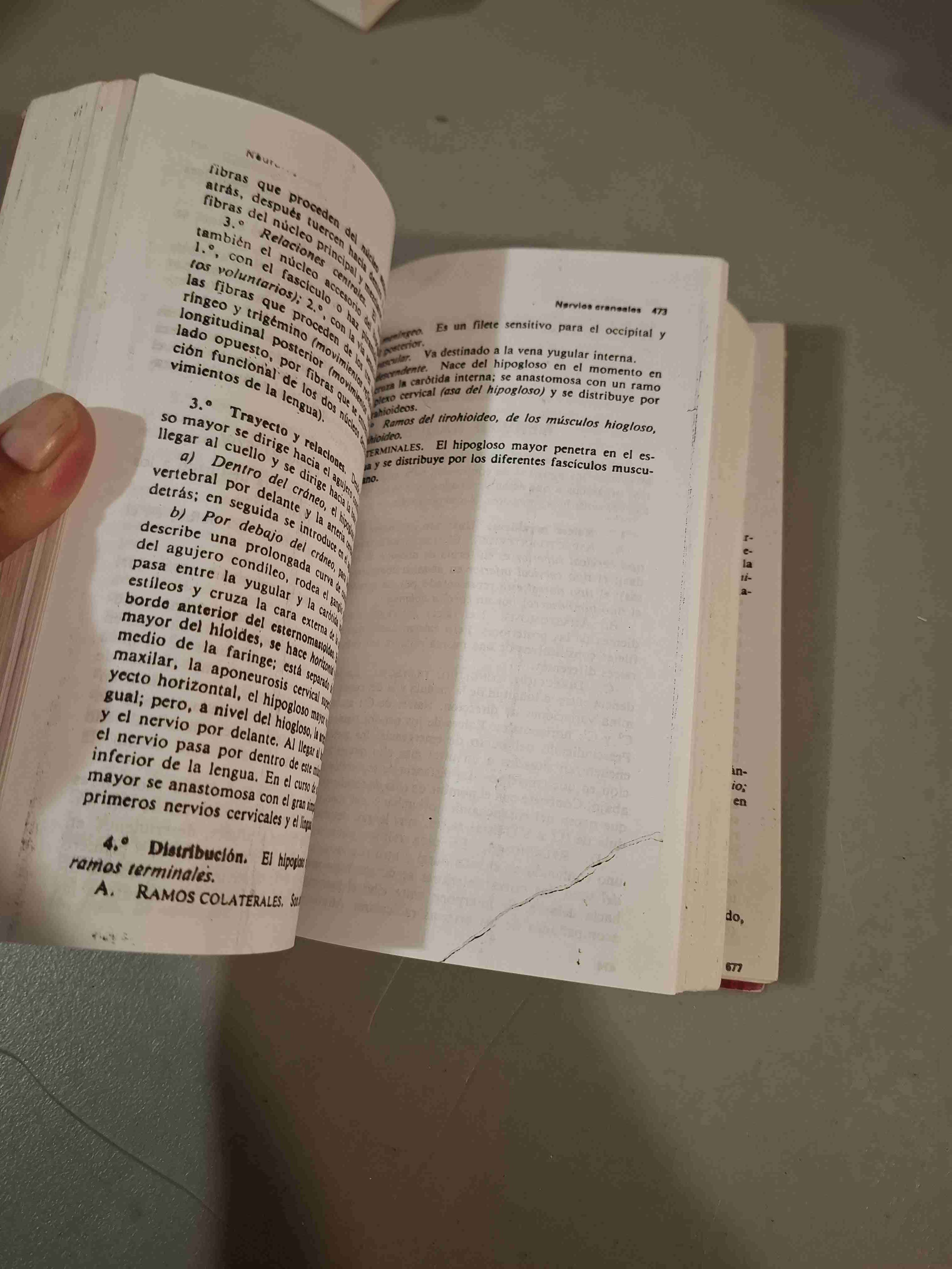 Compendio de Anatomía Descriptiva - miniatura 3