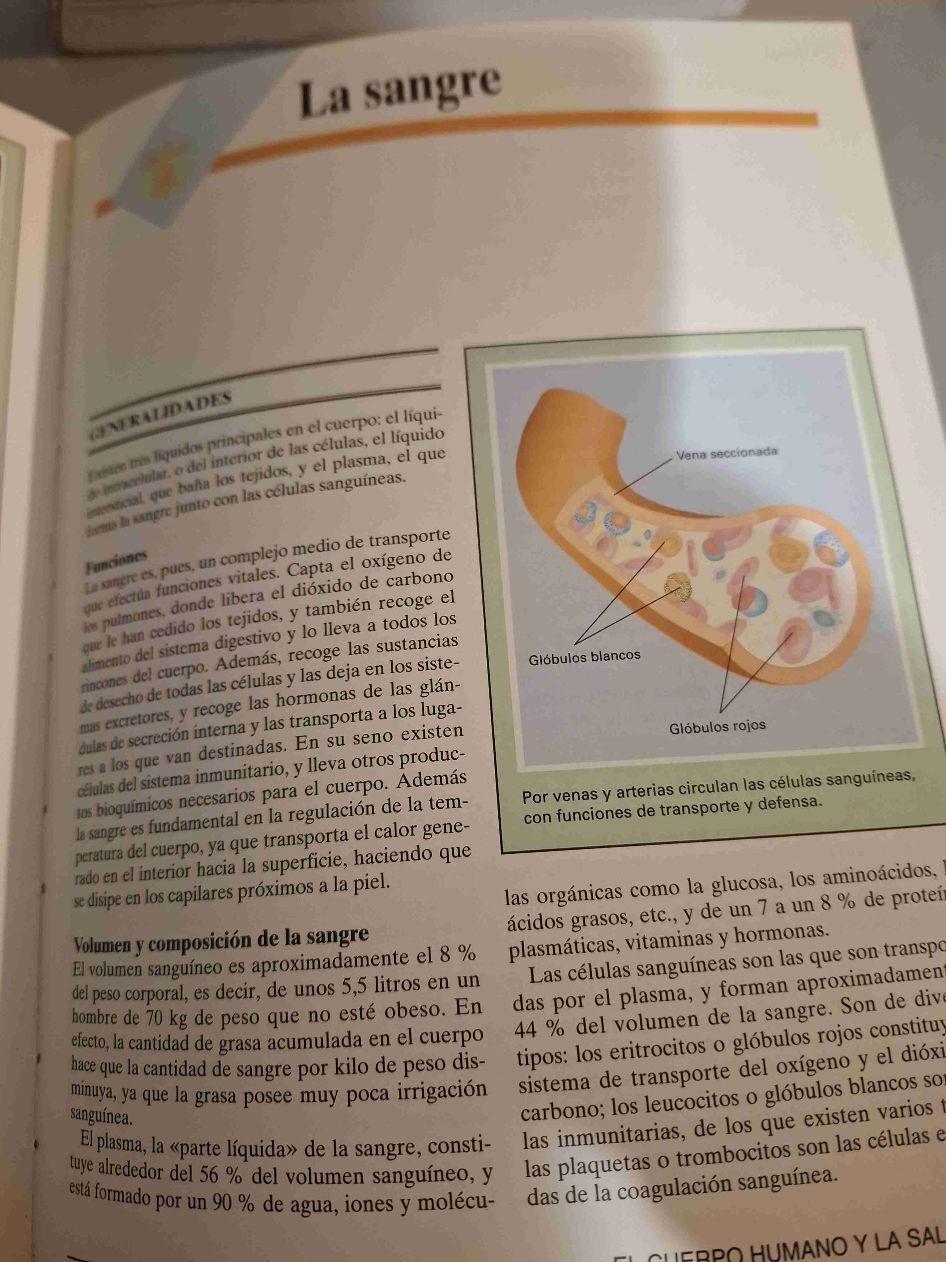 Enciclopedia Didacta Ilustrada - miniatura 2