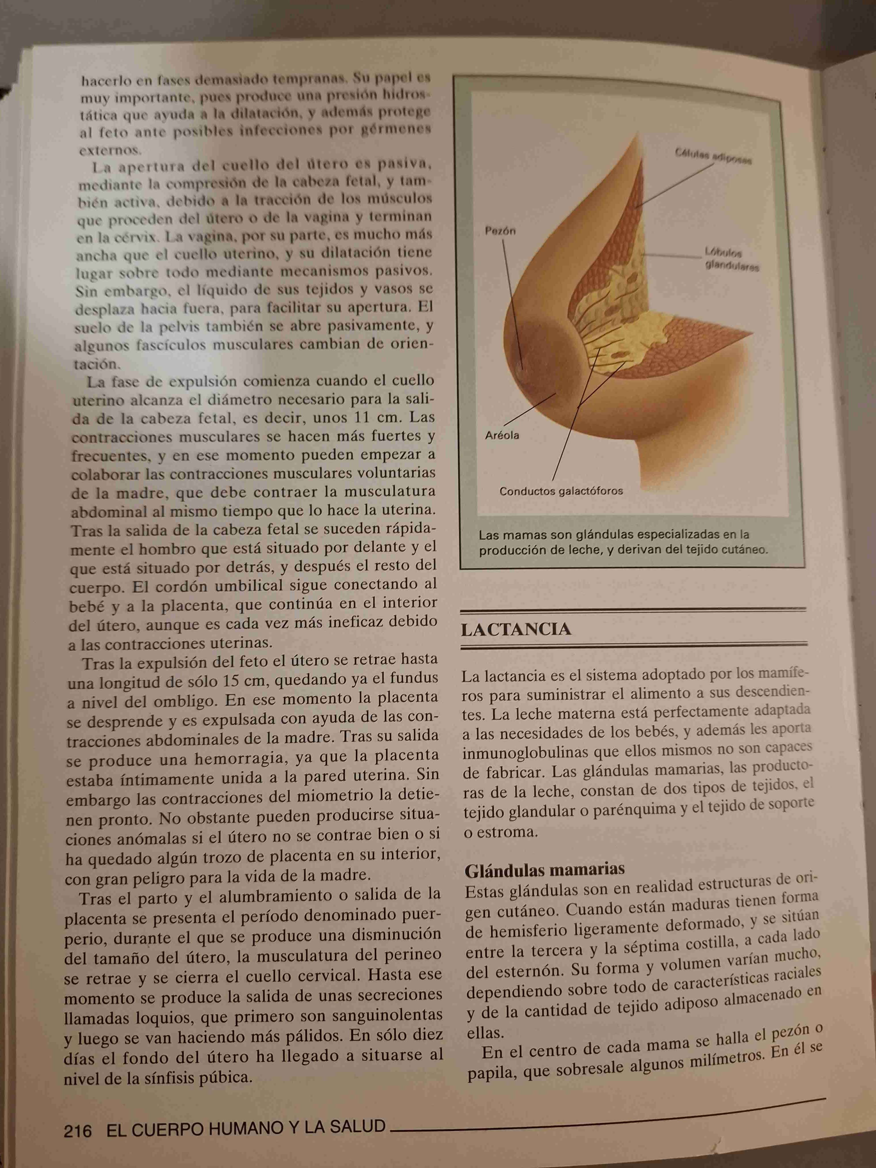 Enciclopedia Didacta Ilustrada - miniatura 6