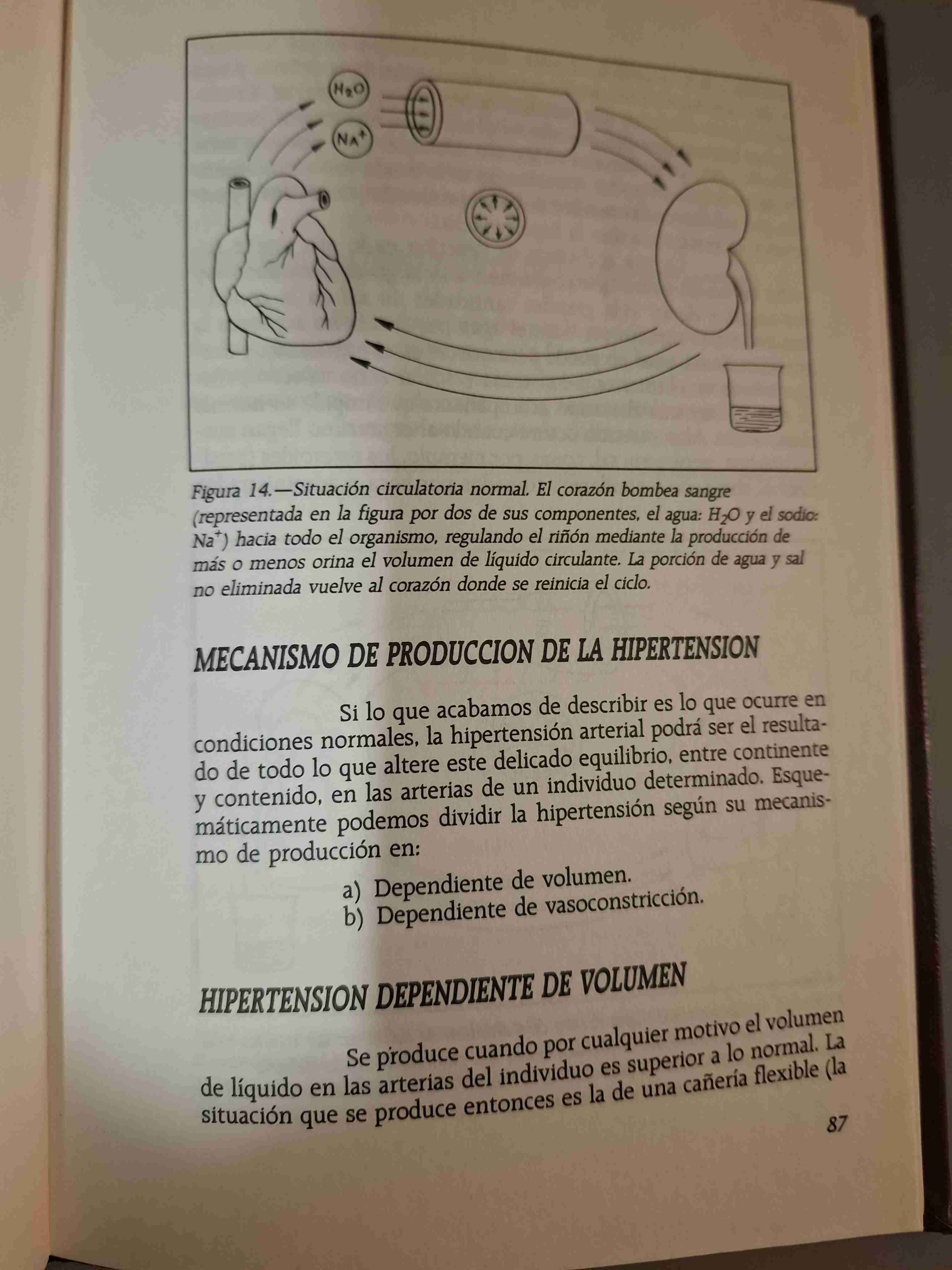Libro Grandes Temas de la Medicina - miniatura 3