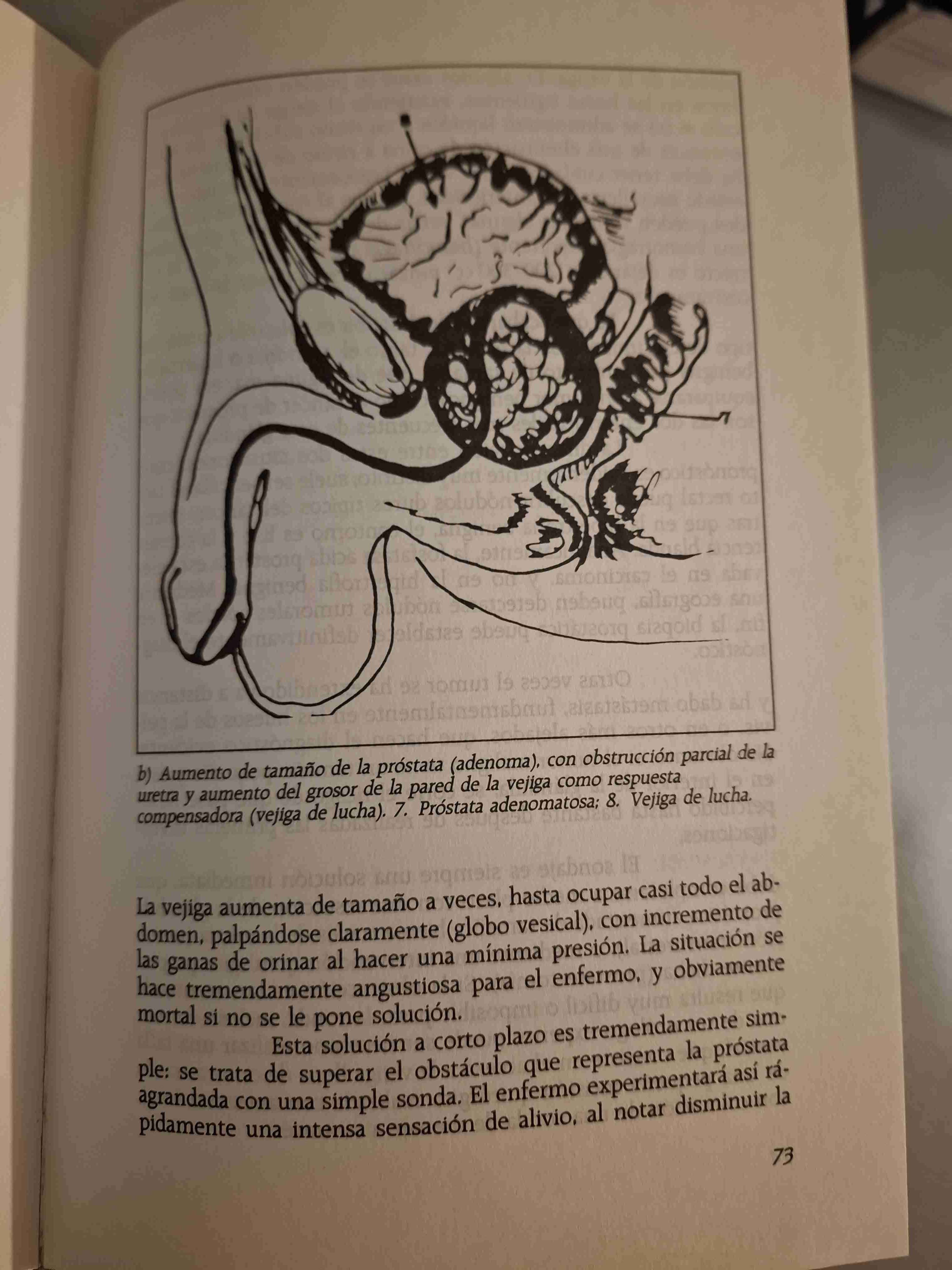 Libro Grandes Temas de la Medicina - miniatura 4