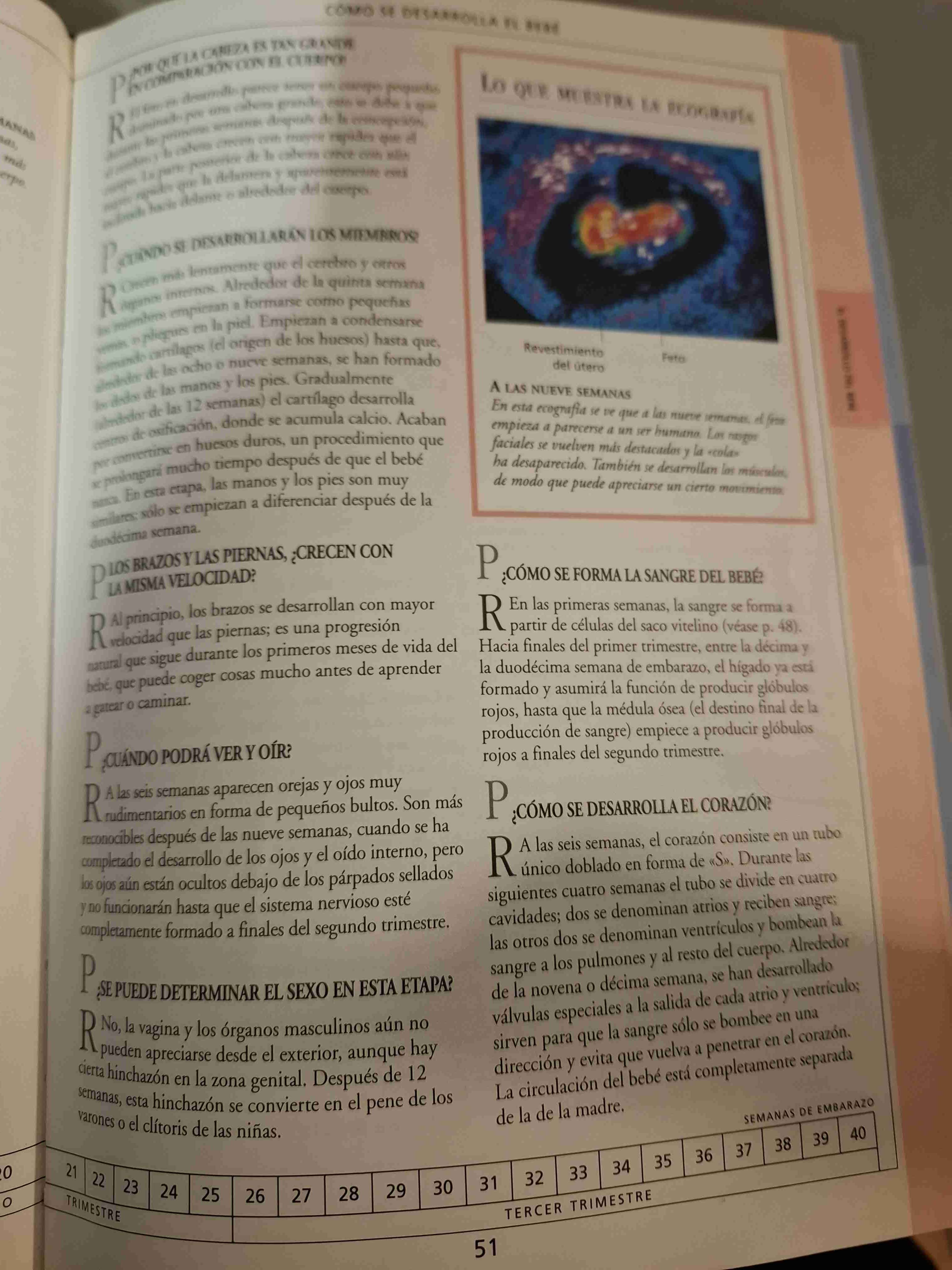 Libro 'Estoy embarazada' - miniatura 3