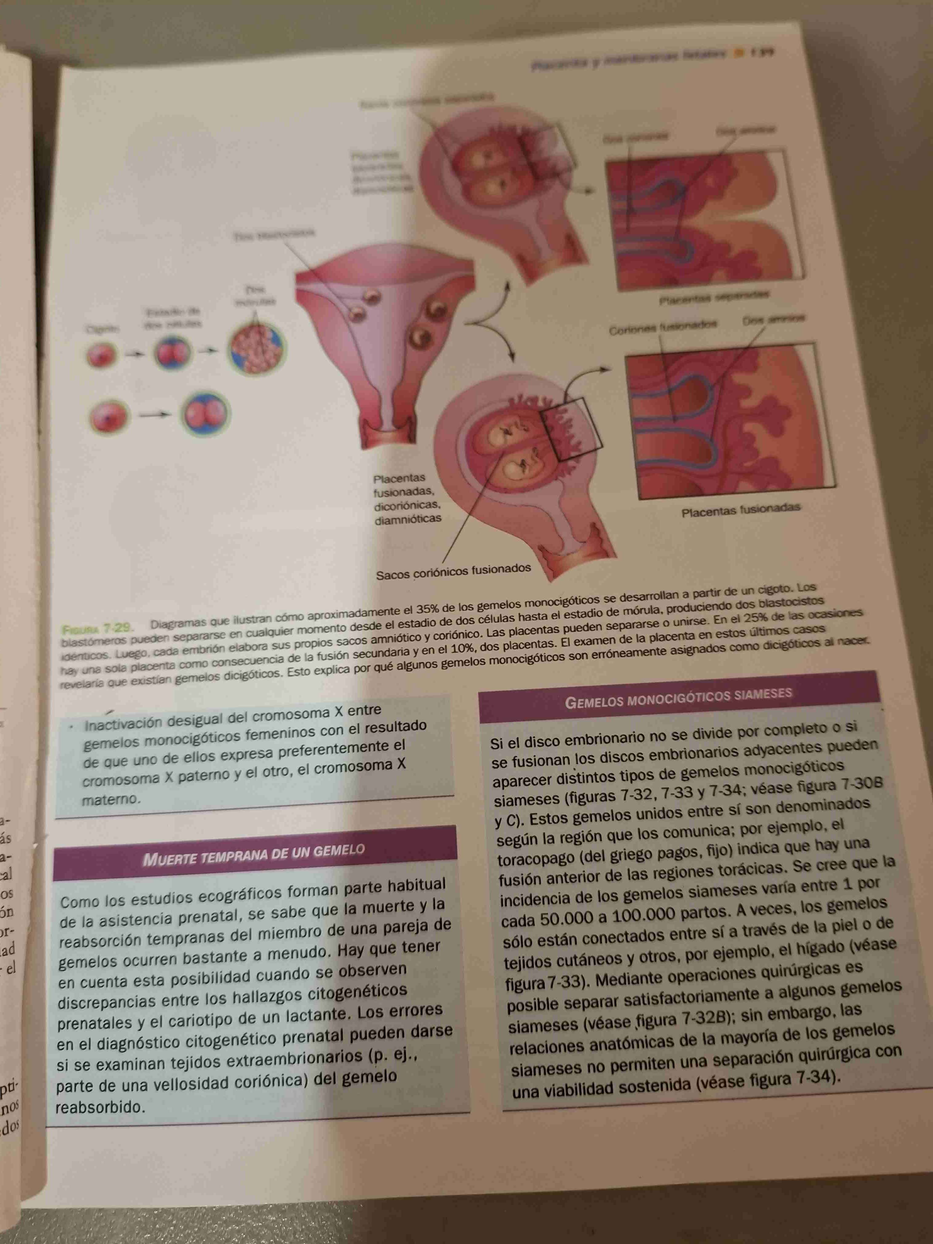 Libro Embriología Clínica 8ª Edición - miniatura 2