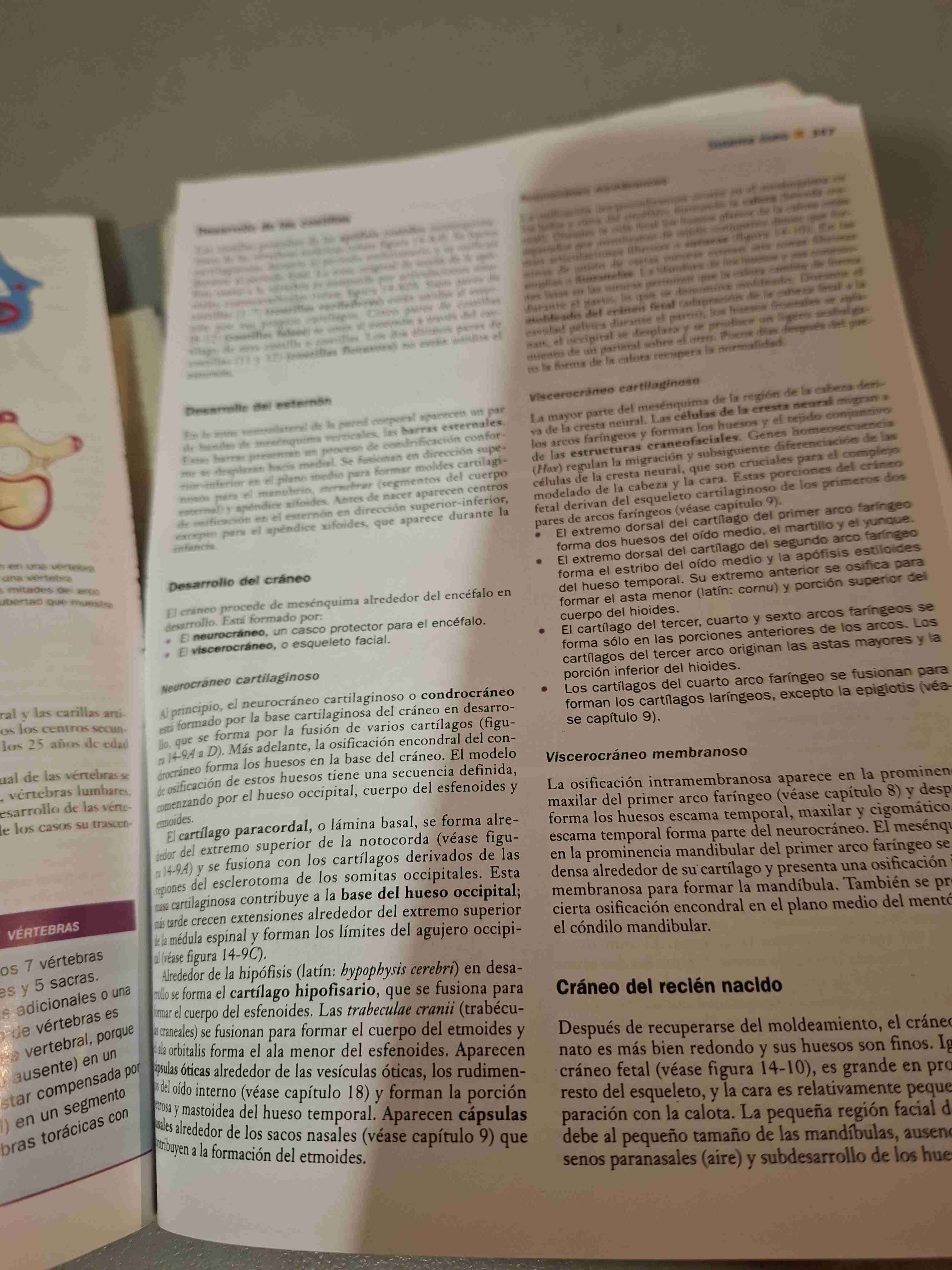 Libro Embriología Clínica 8ª Edición - miniatura 4