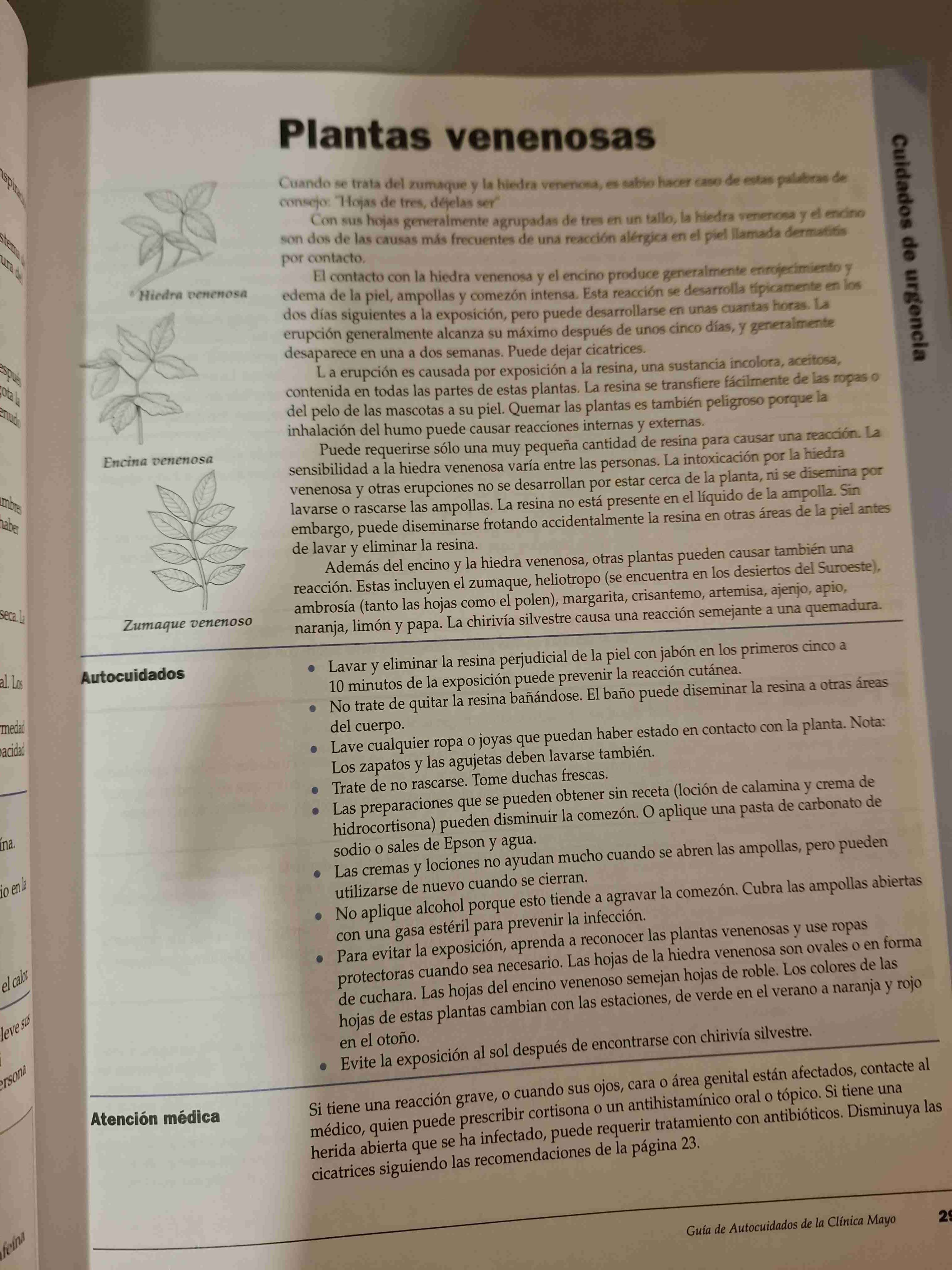 Guía de Autocuidados Codelco - miniatura 2