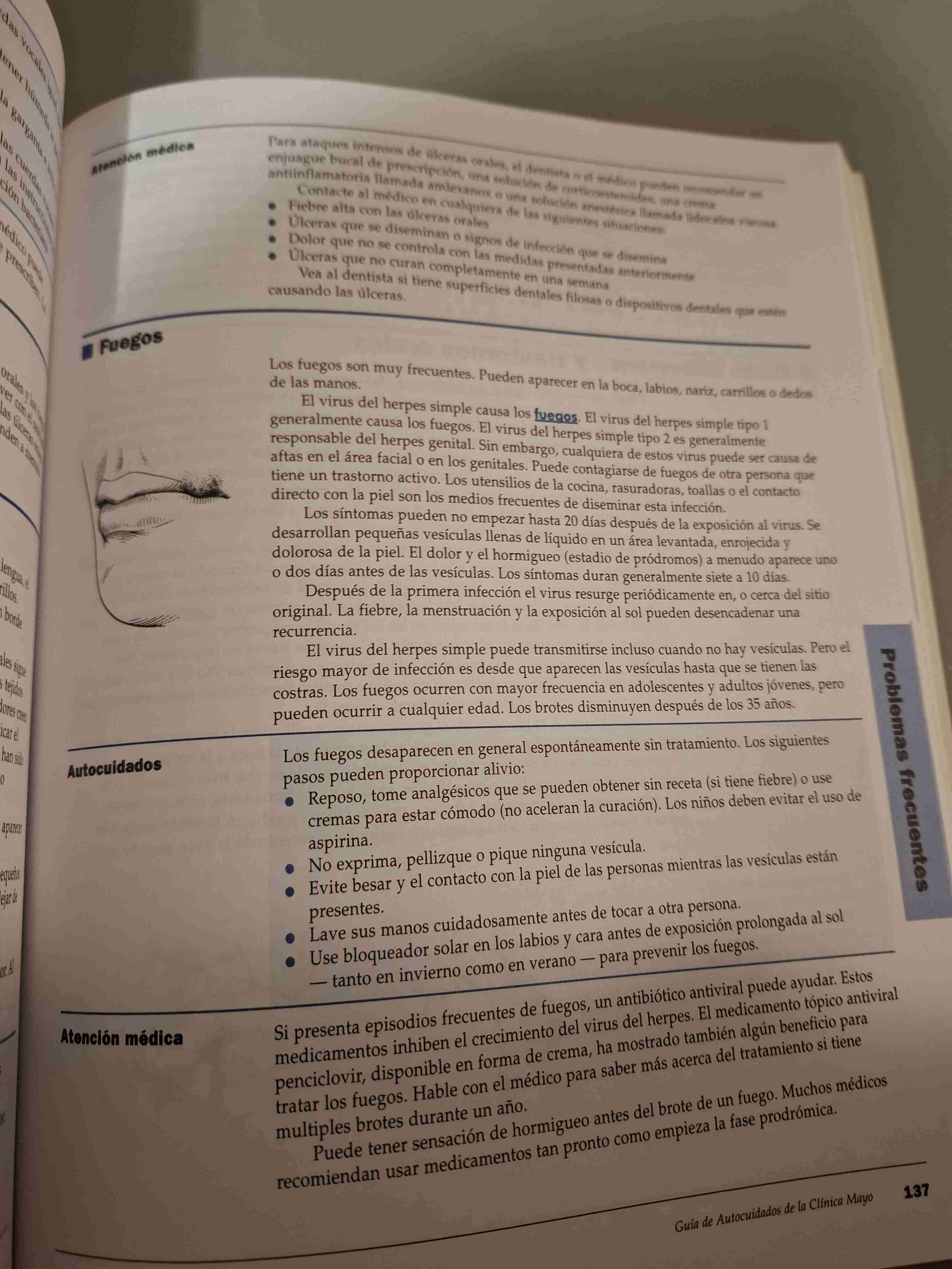 Guía de Autocuidados Codelco - miniatura 4